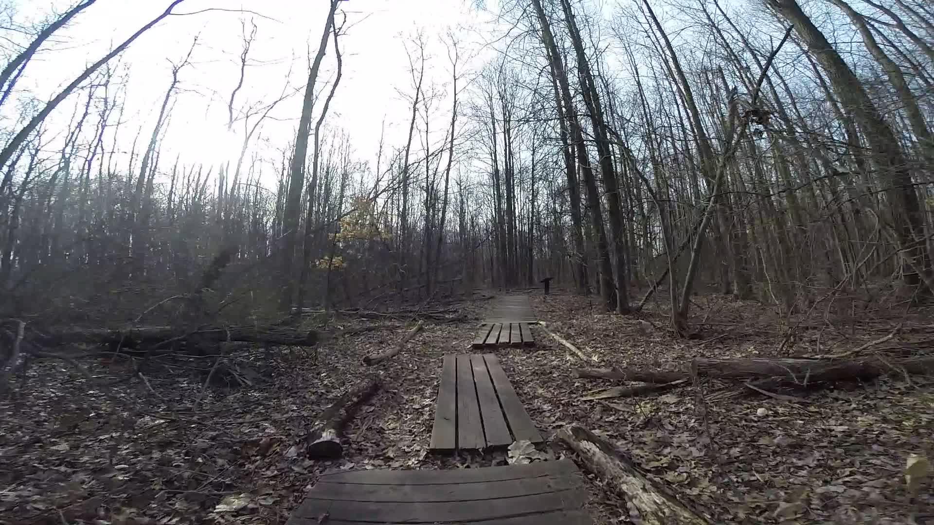 A narrow wooden boardwalk winding through a leaf-strewn forest, surrounded by bare trees under a cloudy sky. Trails seperated by streets mountain bike trail.