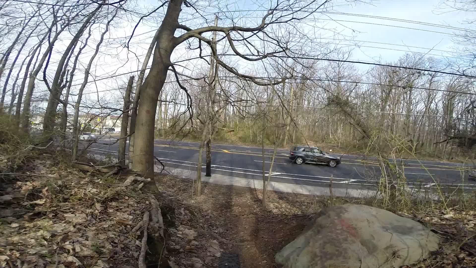 A view of a road running alongside a wooded area, featuring bare trees and fallen leaves. A vehicle is seen driving on the nearby road, with power lines visible in the background. The scene is set in a calm, natural environment, showcasing a mix of human and natural elements. Wolfes Pond park mountain bike trail.