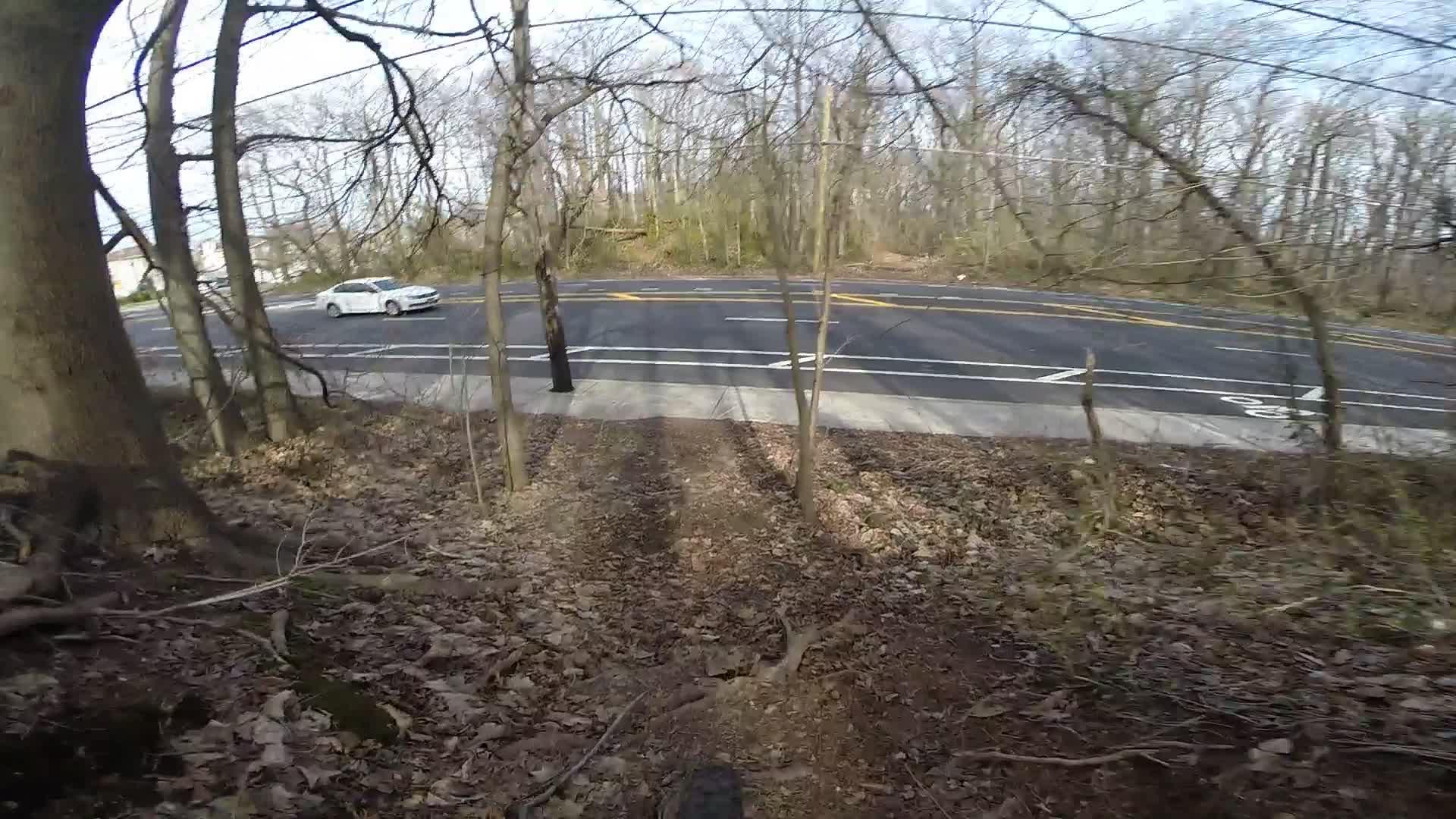 A view from the edge of a wooded area looking towards a paved road with a white car passing by. The foreground shows dry leaves and trees, while the background features a clear road lined with trees. Wolfes Pond park mountain bike trail.