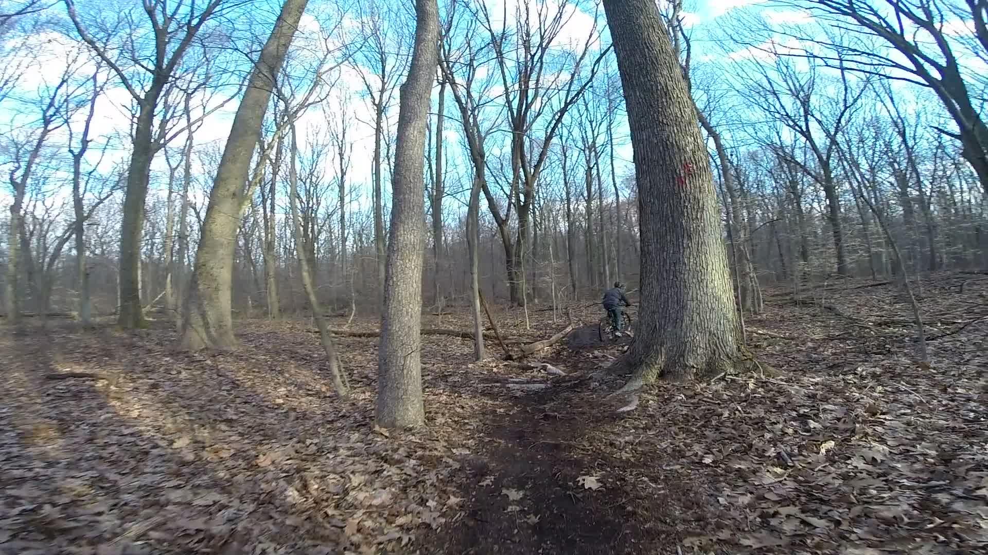 A cyclist riding along a dirt trail in a wooded area during late fall or early spring, surrounded by bare trees and scattered leaves on the ground. The sky is partly cloudy with a glimpse of blue peeking through. Richmond Avenue and Forest Hill road mountain bike trail.