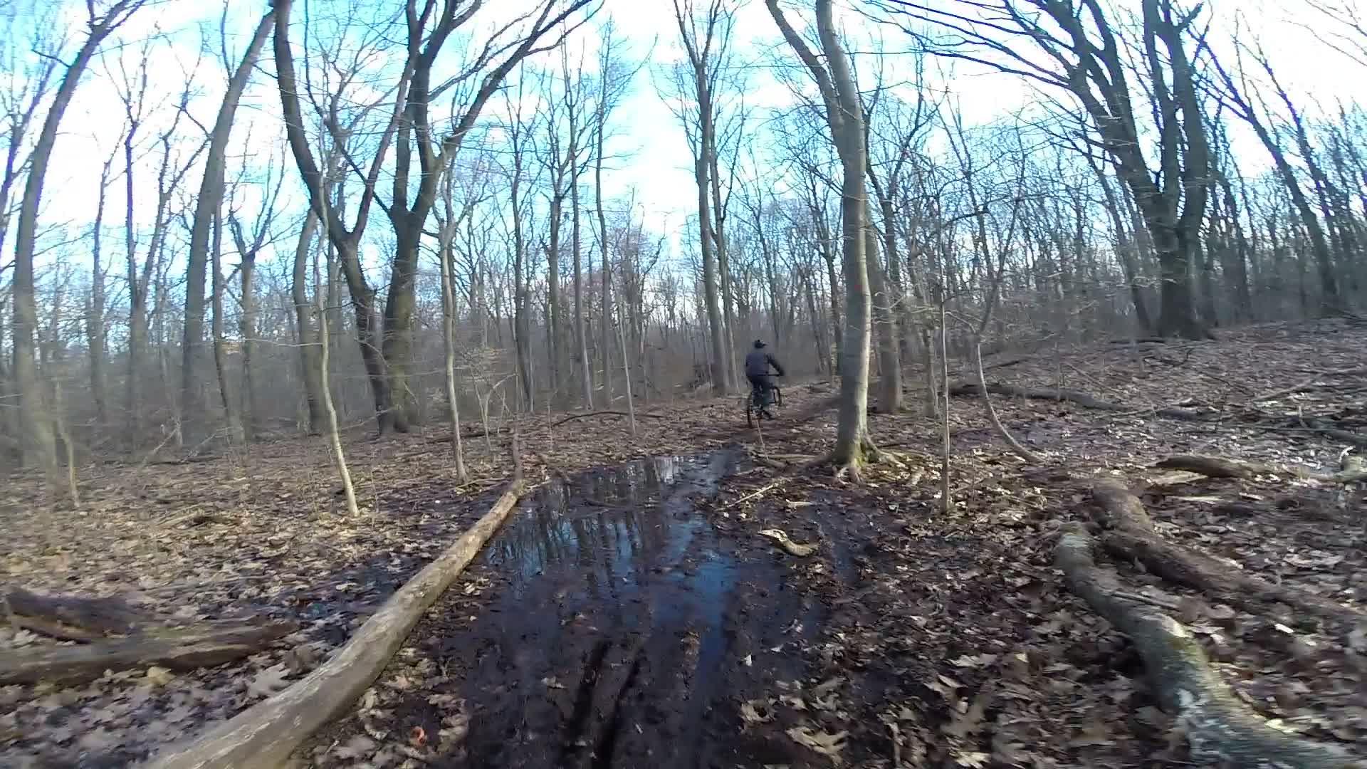 A cyclist riding through a wooded area with bare trees, navigating a muddy trail after rainfall. The ground is covered in fallen leaves, and a puddle reflects the sky. Richmond Avenue and Forest Hill road mountain bike trail.