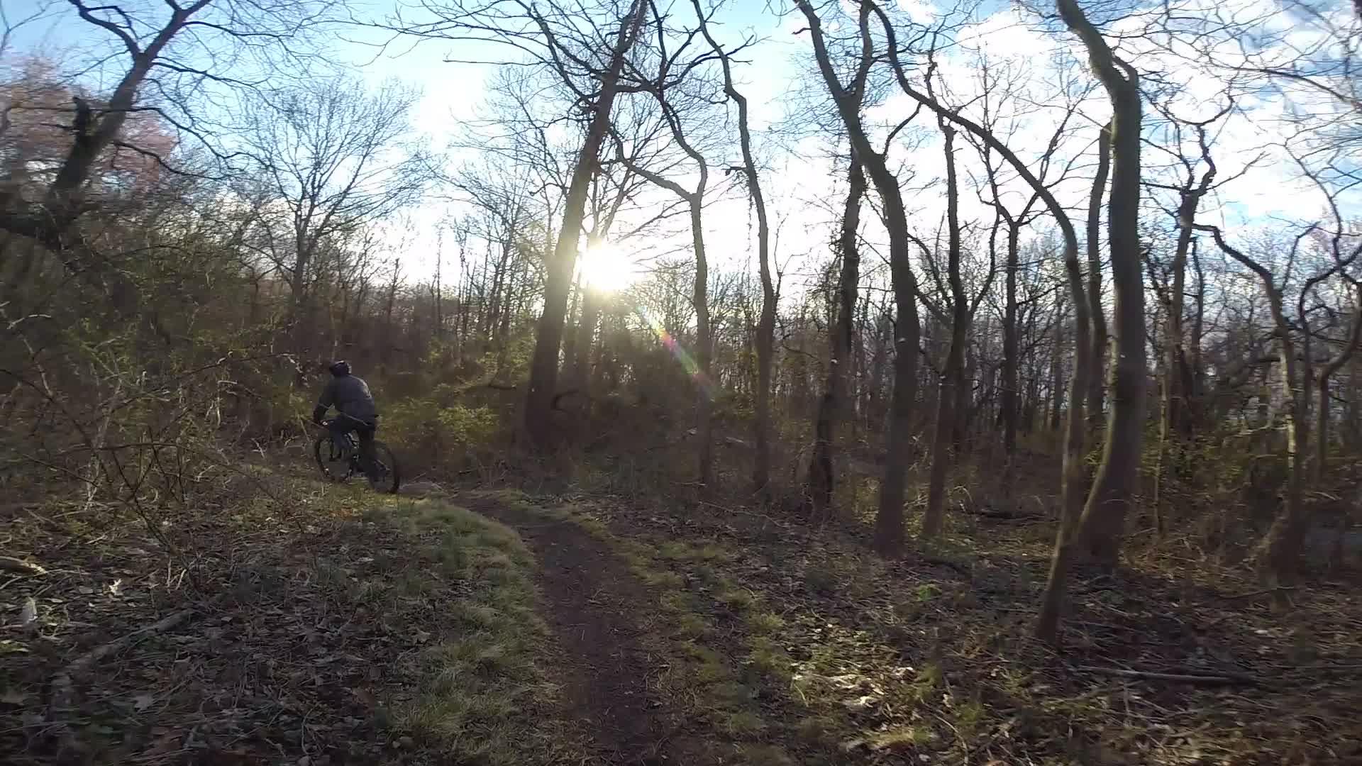 A mountain biker navigating a dirt trail through a wooded area, with the sun shining in the background, casting light through the trees. The scene captures the beauty of nature during a sunny day, surrounded by greenery and bare trees. Richmond Avenue and Forest Hill road mountain bike trail.