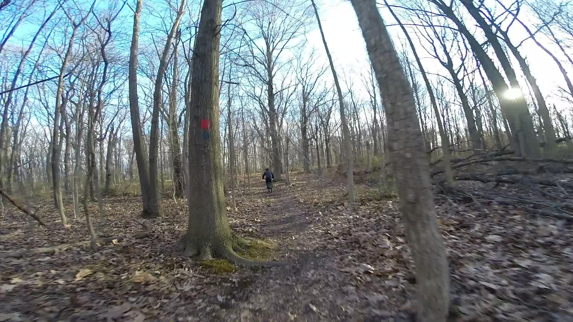 A winding trail through a winter forest, lined with bare trees and scattered leaves on the ground. A person rides a bike in the distance, following the path marked by a red and blue trail marker on a nearby tree. The sky is clear, with sunlight filtering through the branches. Richmond Avenue and Forest Hill road mountain bike trail.