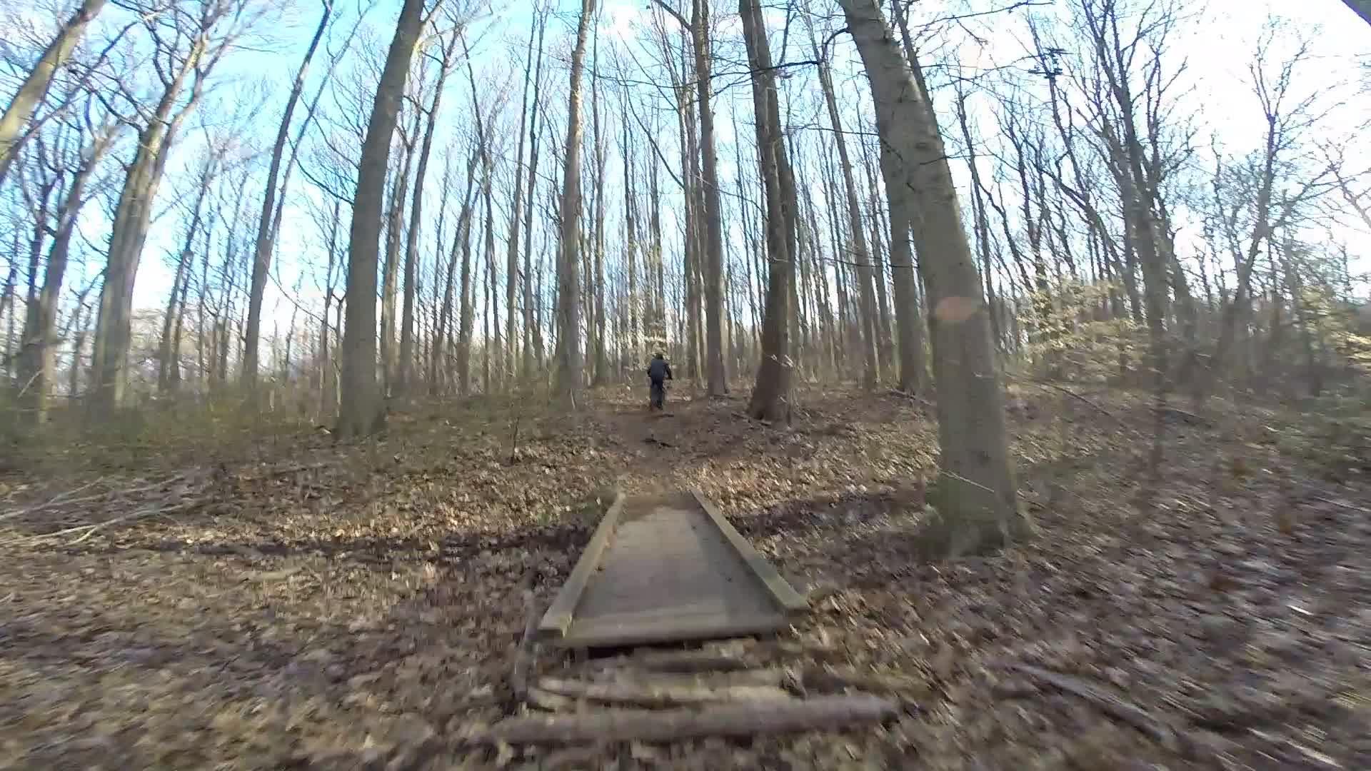 A person walking along a narrow wooden bridge in a wooded area, surrounded by tall trees and sparse underbrush. The sky above is clear and blue, indicating a sunny day. Fallen leaves cover the ground, suggesting a transition from autumn to winter. Richmond Avenue and Forest Hill road mountain bike trail.