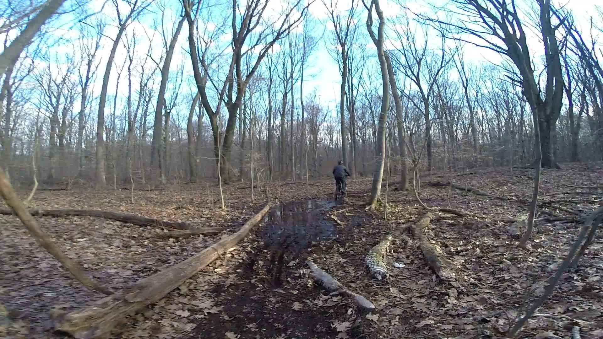 A lone cyclist riding along a muddy trail in a wooded area, surrounded by bare trees and fallen leaves under a clear blue sky. Richmond Avenue and Forest Hill road mountain bike trail.