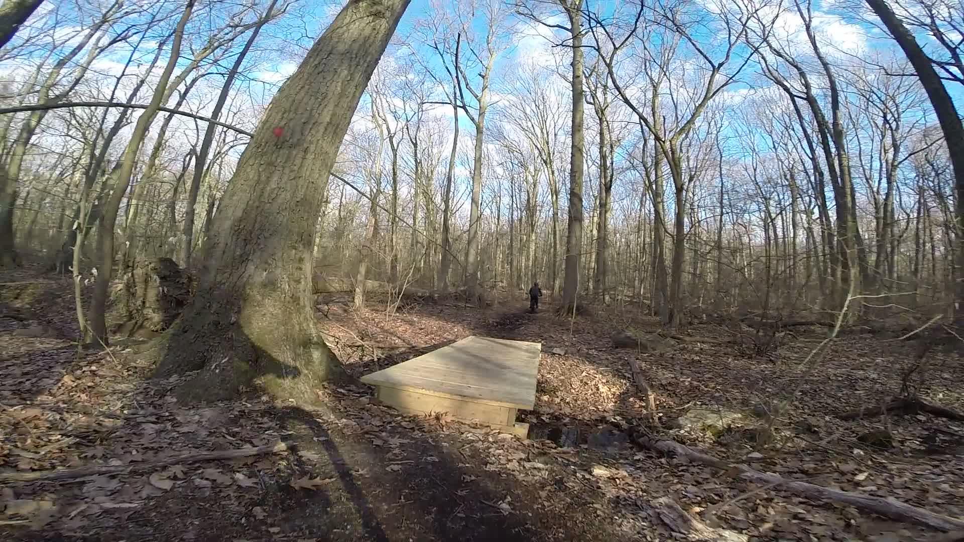 A wooded area with leaf-strewn ground and bare trees beneath a blue sky. A wooden bridge spans a small creek, and a person is walking along a dirt path in the background. Richmond Avenue and Forest Hill road mountain bike trail.