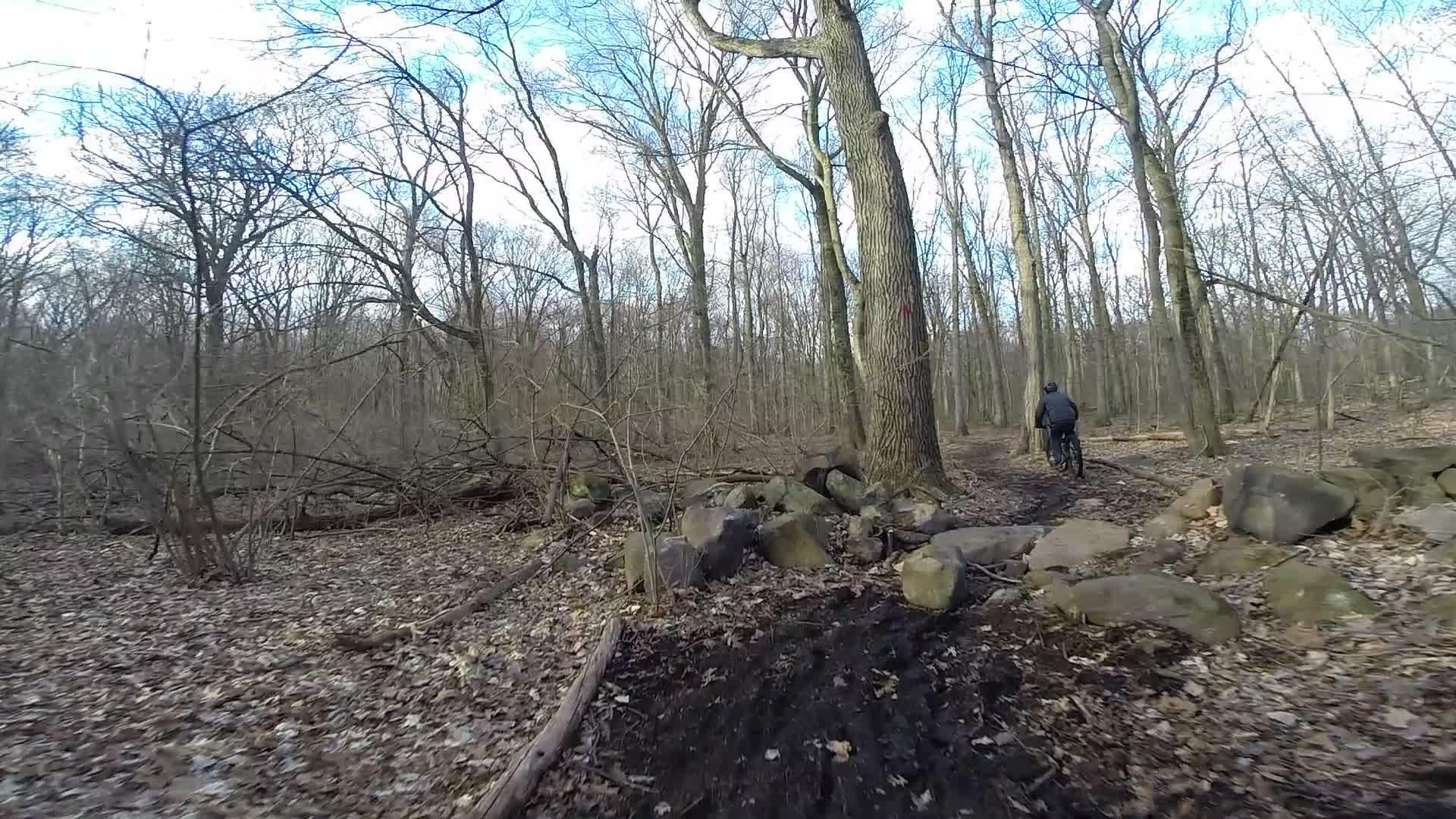 A narrow dirt path winding through a wooded area in early spring. Leafless trees rise on either side, with some rocks scattered along the trail. A person wearing a dark jacket rides a bicycle in the distance, heading deeper into the forest. Richmond Avenue and Forest Hill road mountain bike trail.
