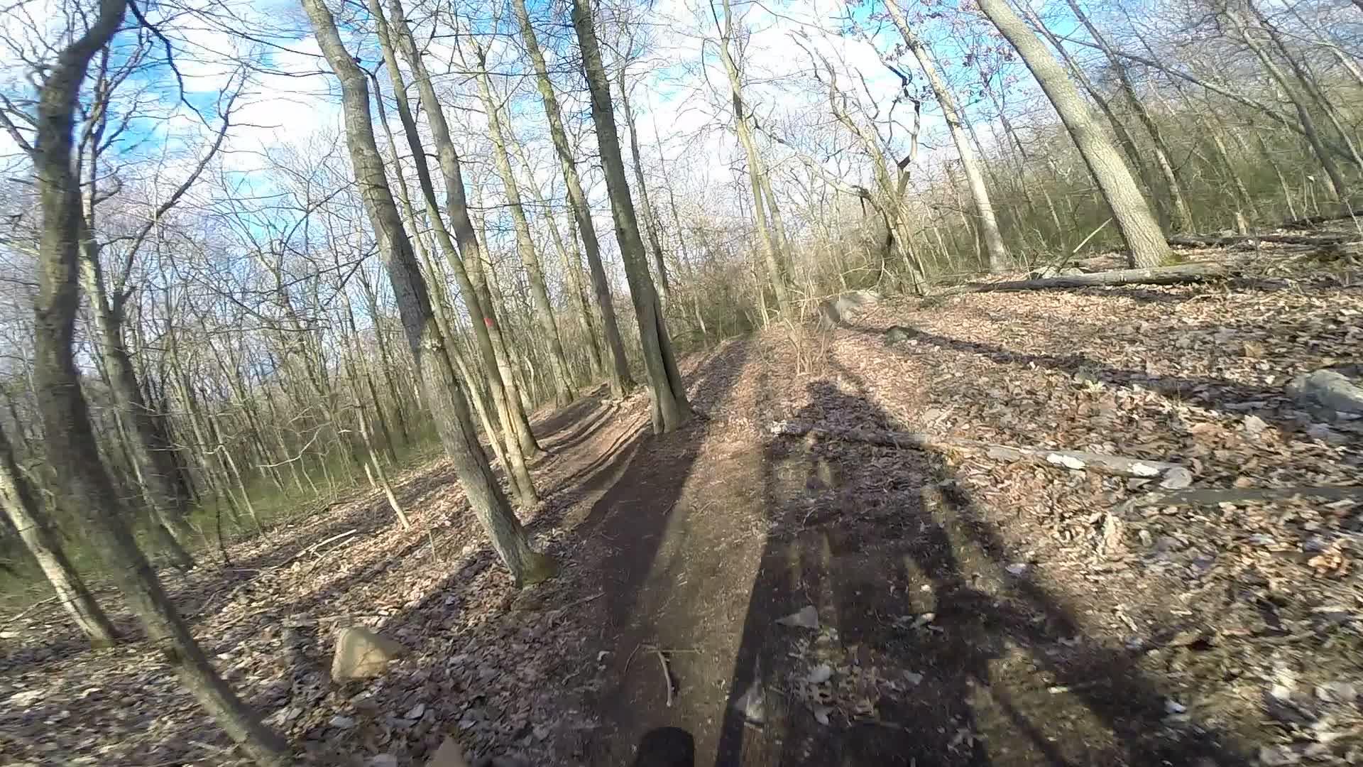 A winding dirt trail through a forest during early spring, surrounded by bare trees and scattered leaves. The sky is blue with a few clouds, casting shadows on the path. Richmond Avenue and Forest Hill road mountain bike trail.