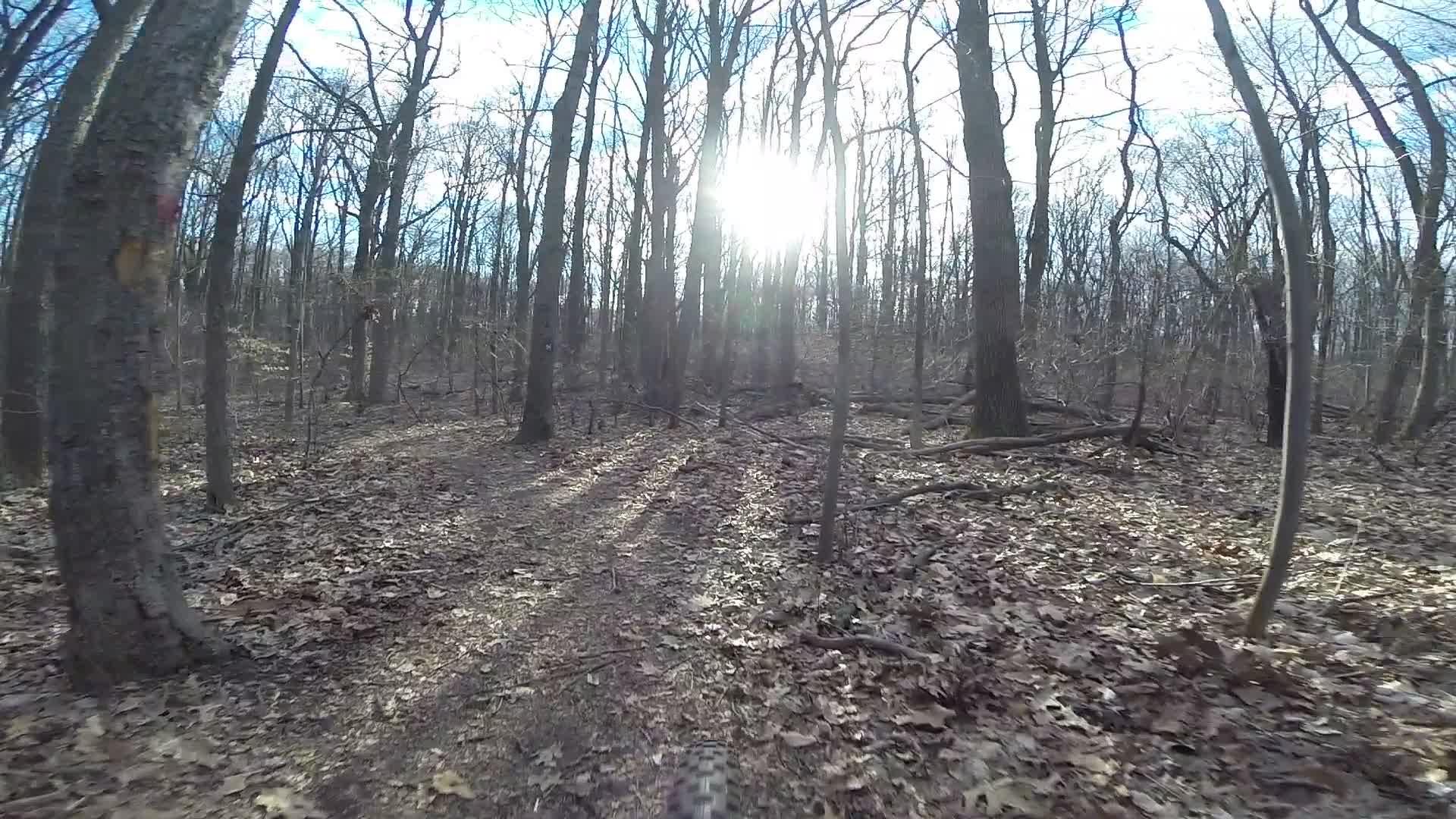 A scenic woodland path bordered by bare trees, with the sun shining through the branches. The ground is covered with fallen leaves, creating a natural, serene atmosphere. The sky is partly cloudy, adding a soft light to the scene. Richmond Avenue and Forest Hill road mountain bike trail.