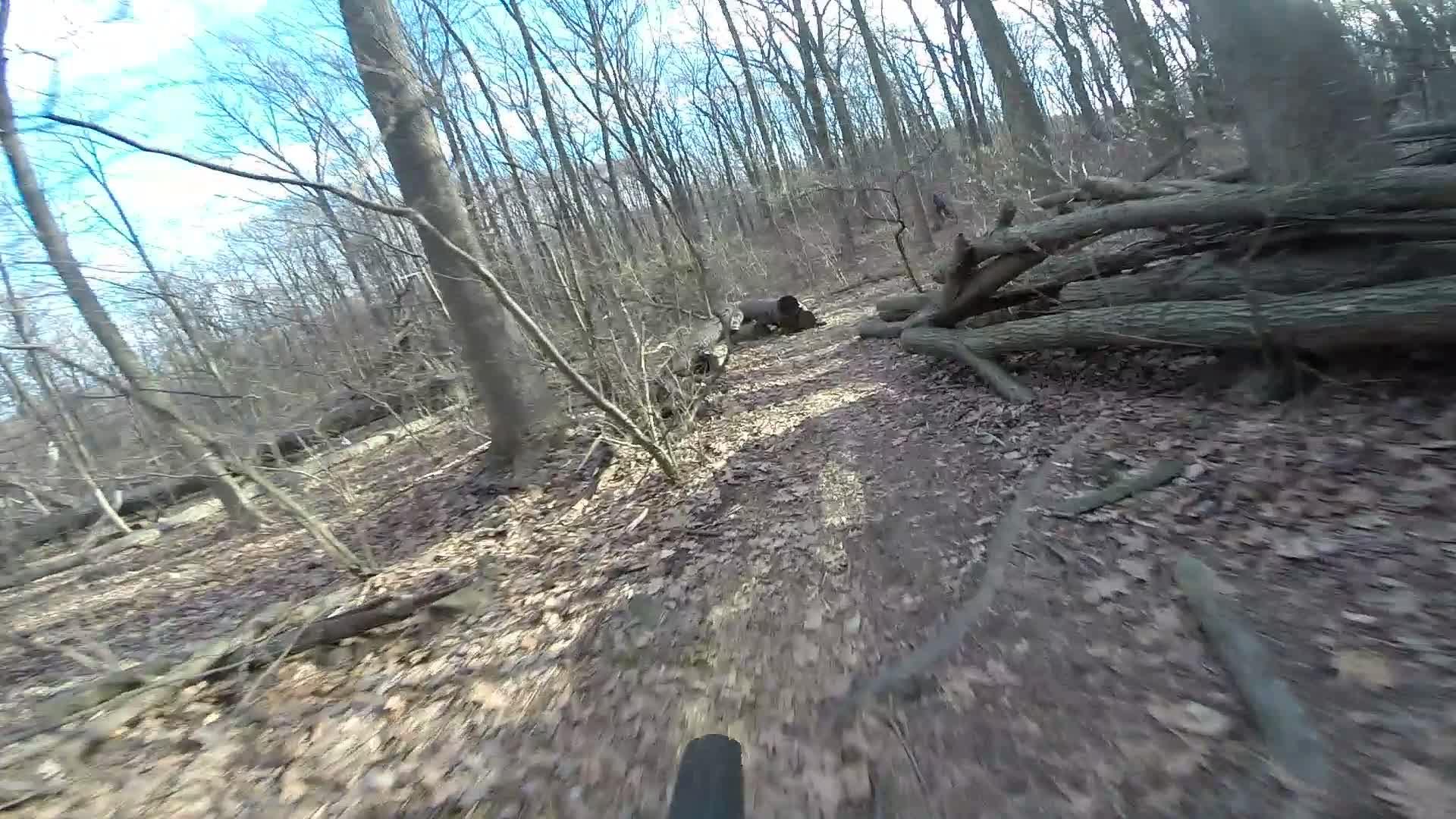 A narrow dirt path winding through a forest with bare trees and fallen logs, captured from a cyclist's perspective. Dried leaves cover the ground, and the sky is blue with a few clouds. Richmond Avenue and Forest Hill road mountain bike trail.