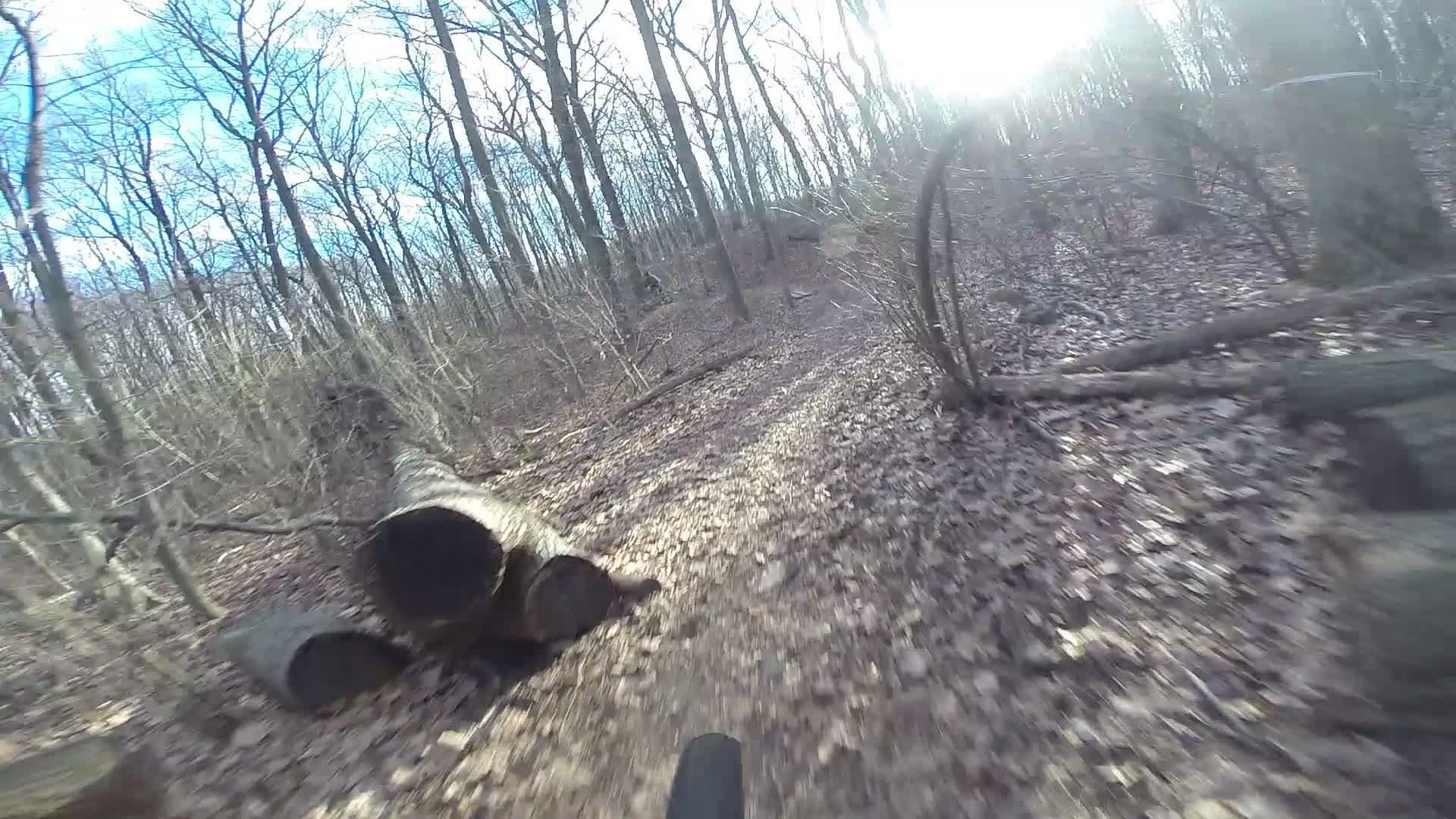 A sunny forest trail with scattered fallen leaves and logs, surrounded by bare trees. The path is winding and shows signs of bike tire tracks, suggesting it's a popular area for cycling or hiking. The bright sun is visible in the background, illuminating the scene. Richmond Avenue and Forest Hill road mountain bike trail.