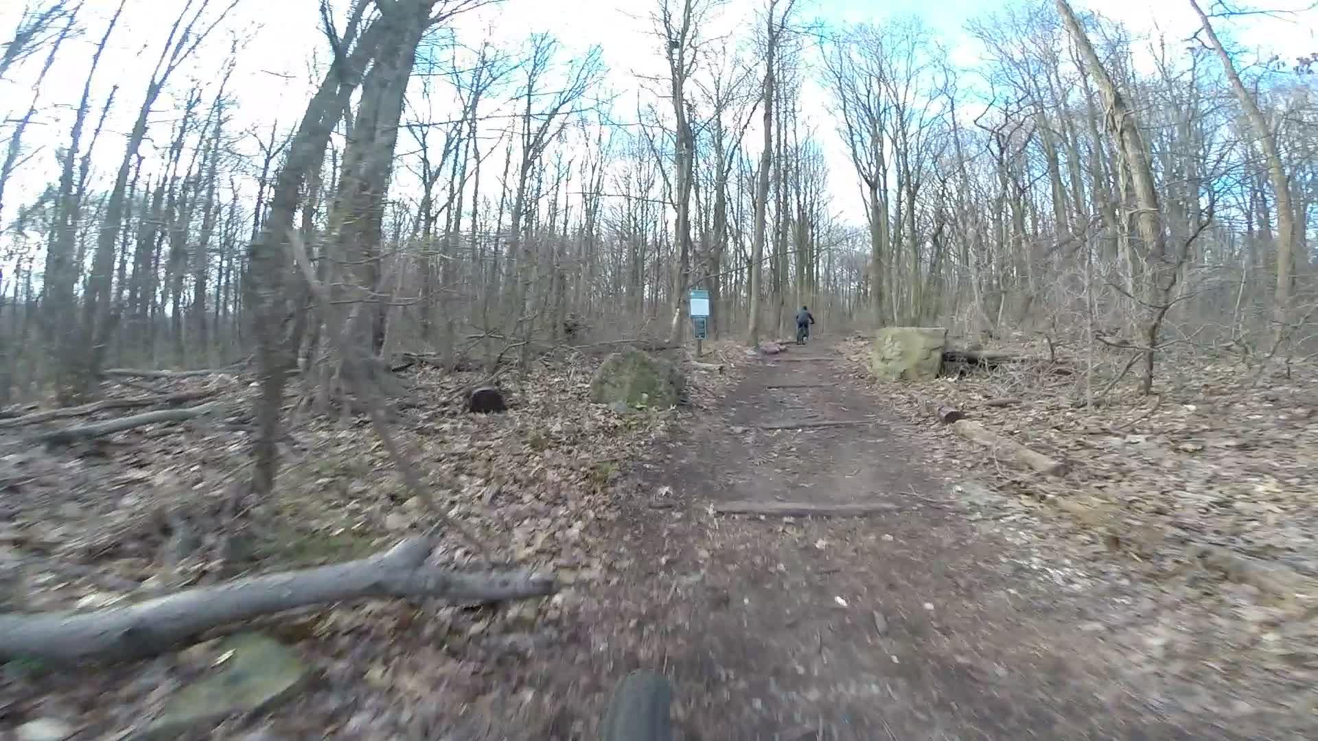 A dirt path winding through a wooded area, surrounded by leafless trees and scattered rocks. A person riding a bicycle is visible in the distance, with a sign partially obscured by trees. The ground is covered in leaves and twigs, suggesting early spring or late autumn conditions. Richmond Avenue and Forest Hill road mountain bike trail.