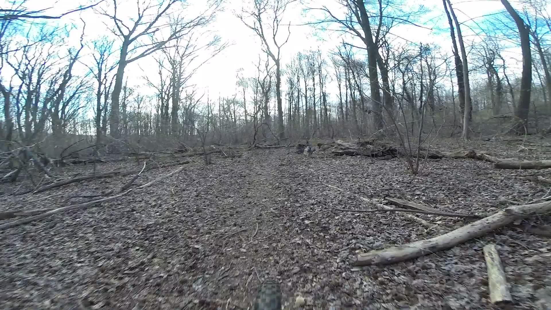 A forest trail covered with fallen leaves and scattered branches, surrounded by bare trees under a cloudy sky. The path appears rugged and natural, suggesting a serene outdoor setting. Richmond Avenue and Forest Hill road mountain bike trail.