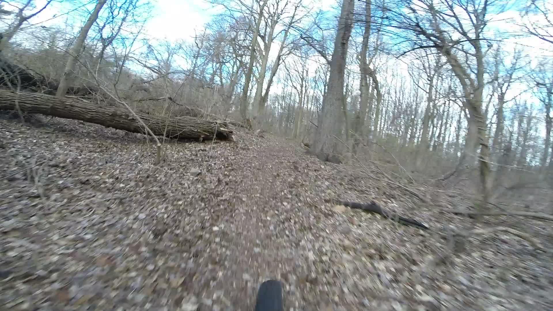 A dirt biking trail in a wooded area, with a view of trees in the background and fallen logs on the path. The ground is covered in leaves, and the scene is set under a partly cloudy sky. A bicycle tire is visible in the foreground, suggesting a dynamic riding experience. Richmond Avenue and Forest Hill road mountain bike trail.