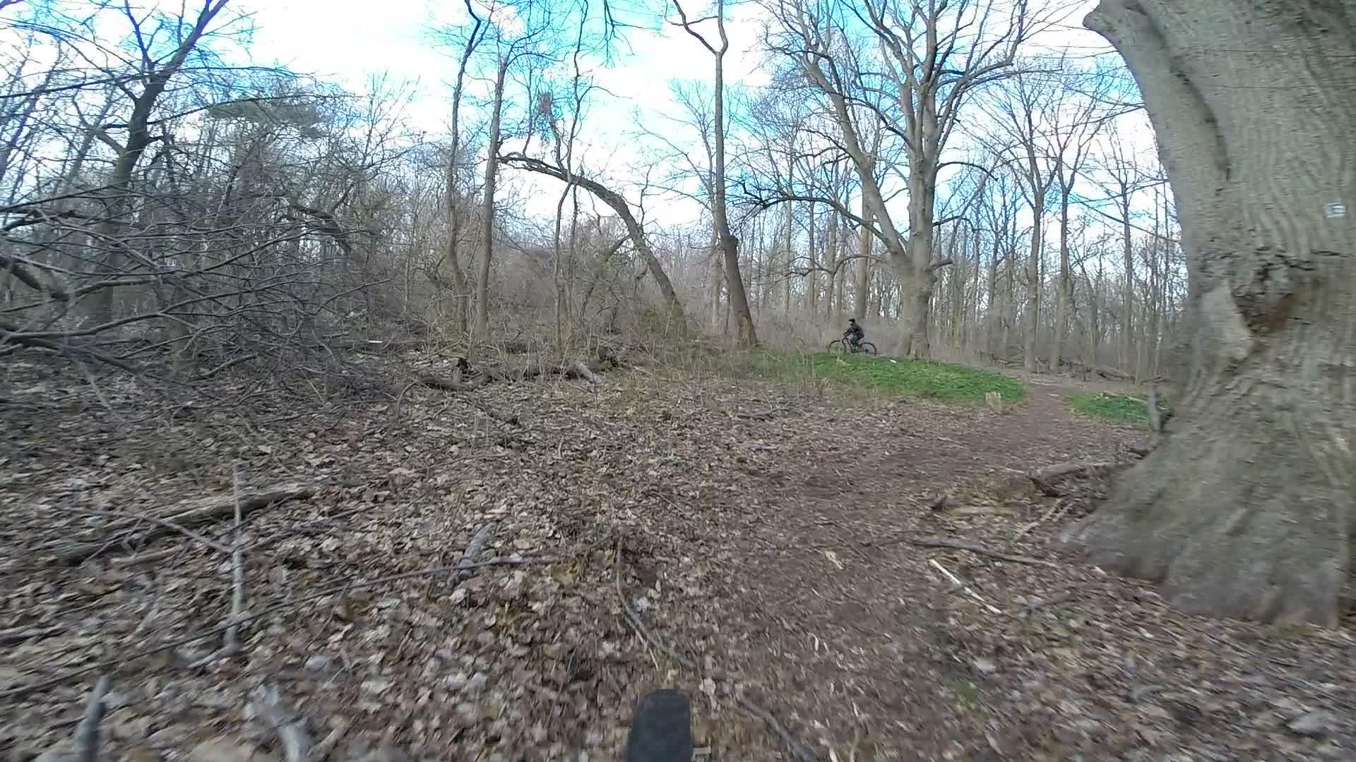 A cyclist navigating a dirt trail in a wooded area during early spring, with trees exhibiting bare branches and scattered leaves on the ground. Richmond Avenue and Forest Hill road mountain bike trail.