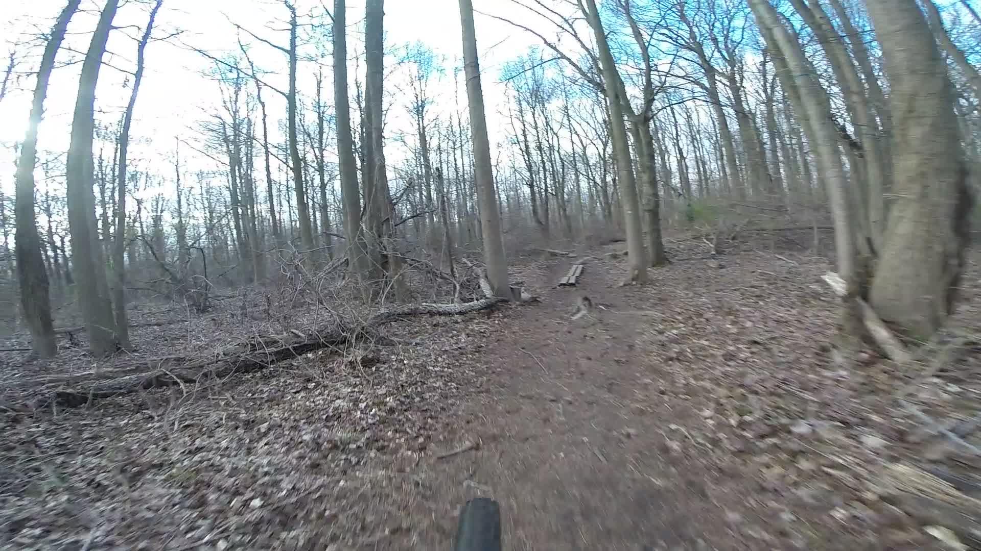 A winding dirt trail surrounded by bare trees and scattered leaves in a forest. The scene captures a peaceful, natural setting with a clear blue sky peeking through the tree branches. Richmond Avenue and Forest Hill road mountain bike trail.