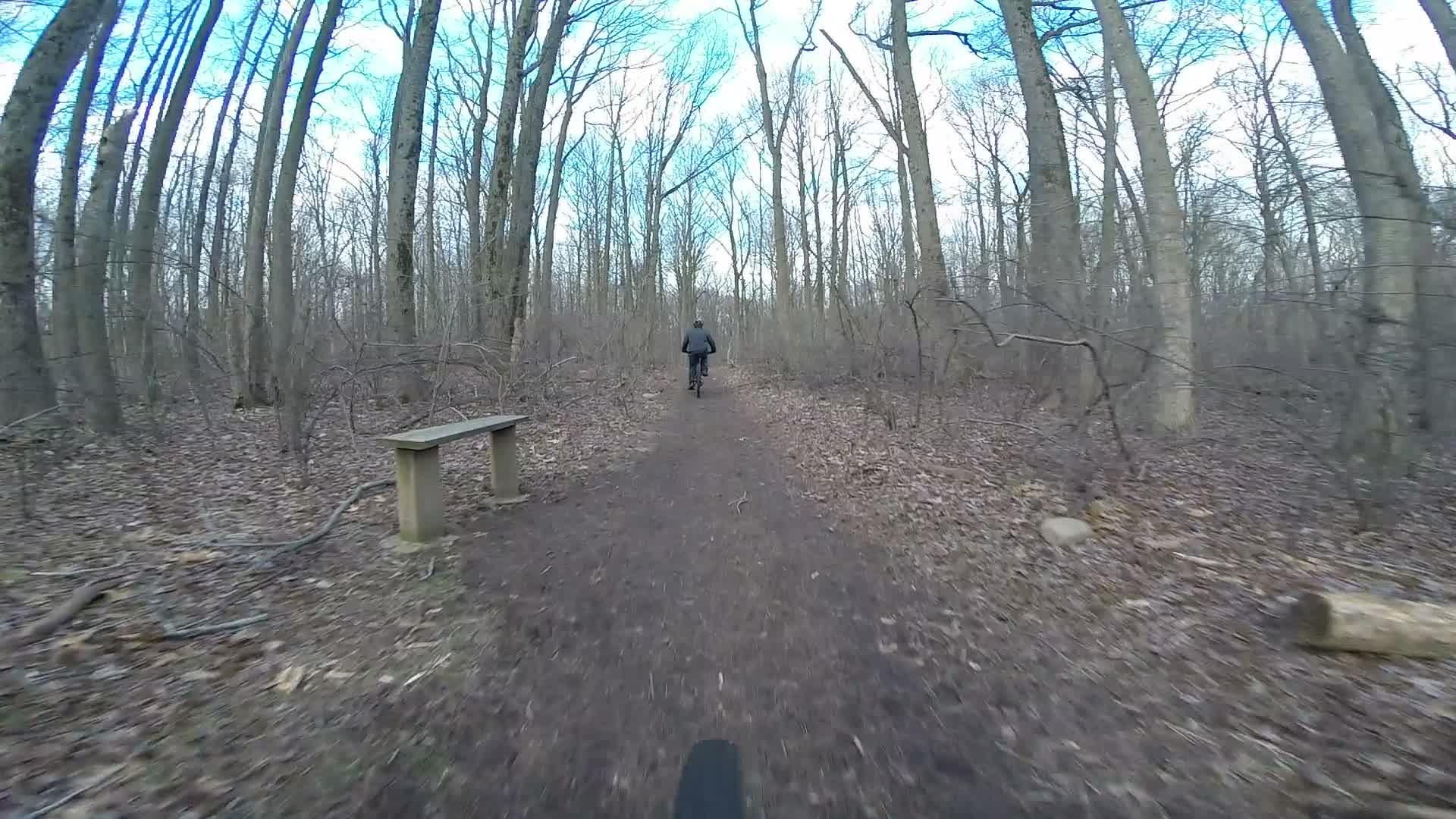 A person riding a bike along a dirt path in a wooded area, with tall trees and bare branches surrounding the trail. A wooden bench is visible on the left side of the path, and fallen leaves cover the ground. The sky is partly cloudy. Richmond Avenue and Forest Hill road mountain bike trail.