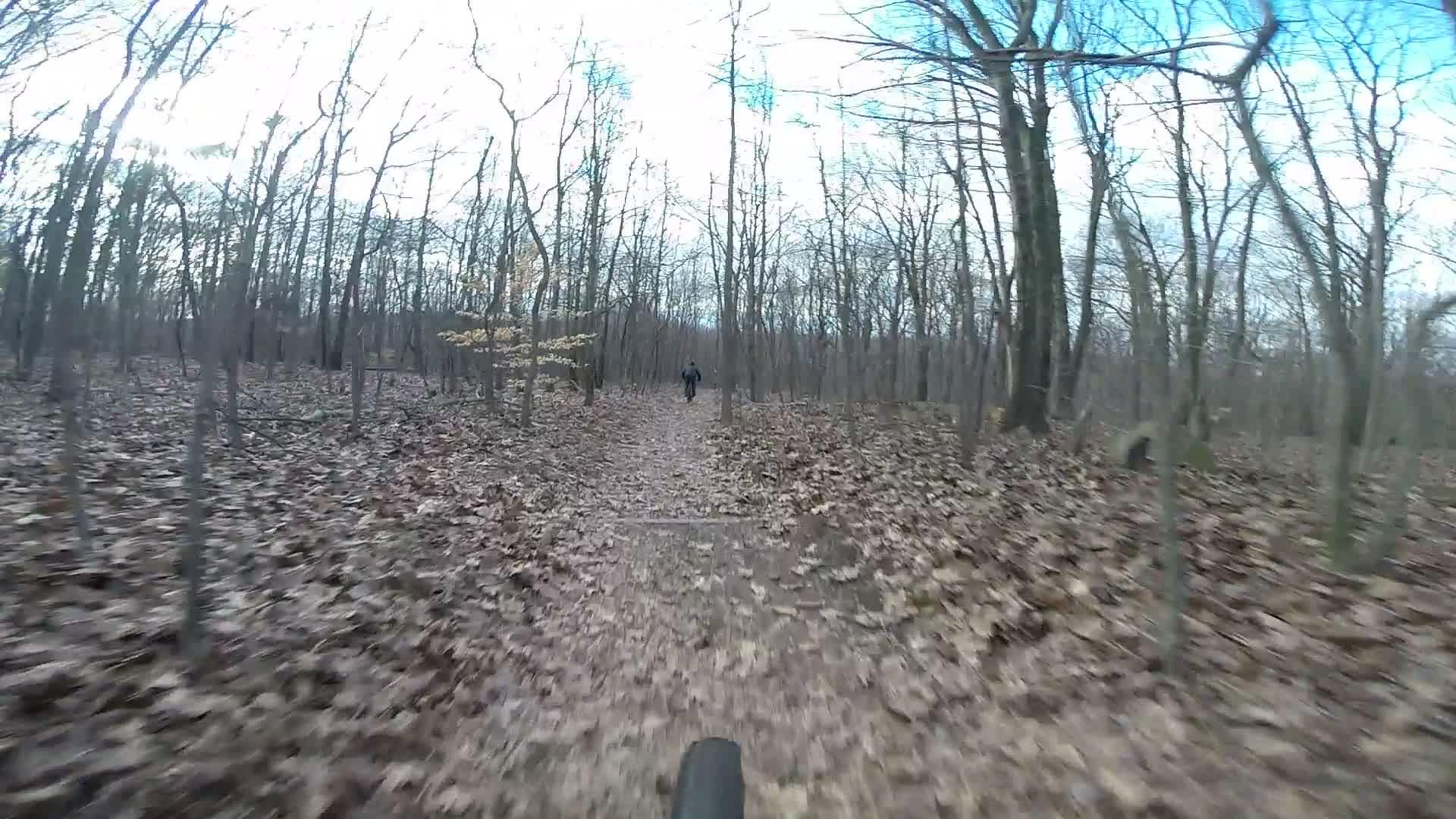 A view of a forest trail covered in fallen leaves, with a person riding a bicycle in the distance. The landscape is surrounded by bare trees under a partly cloudy sky. Richmond Avenue and Forest Hill road mountain bike trail.