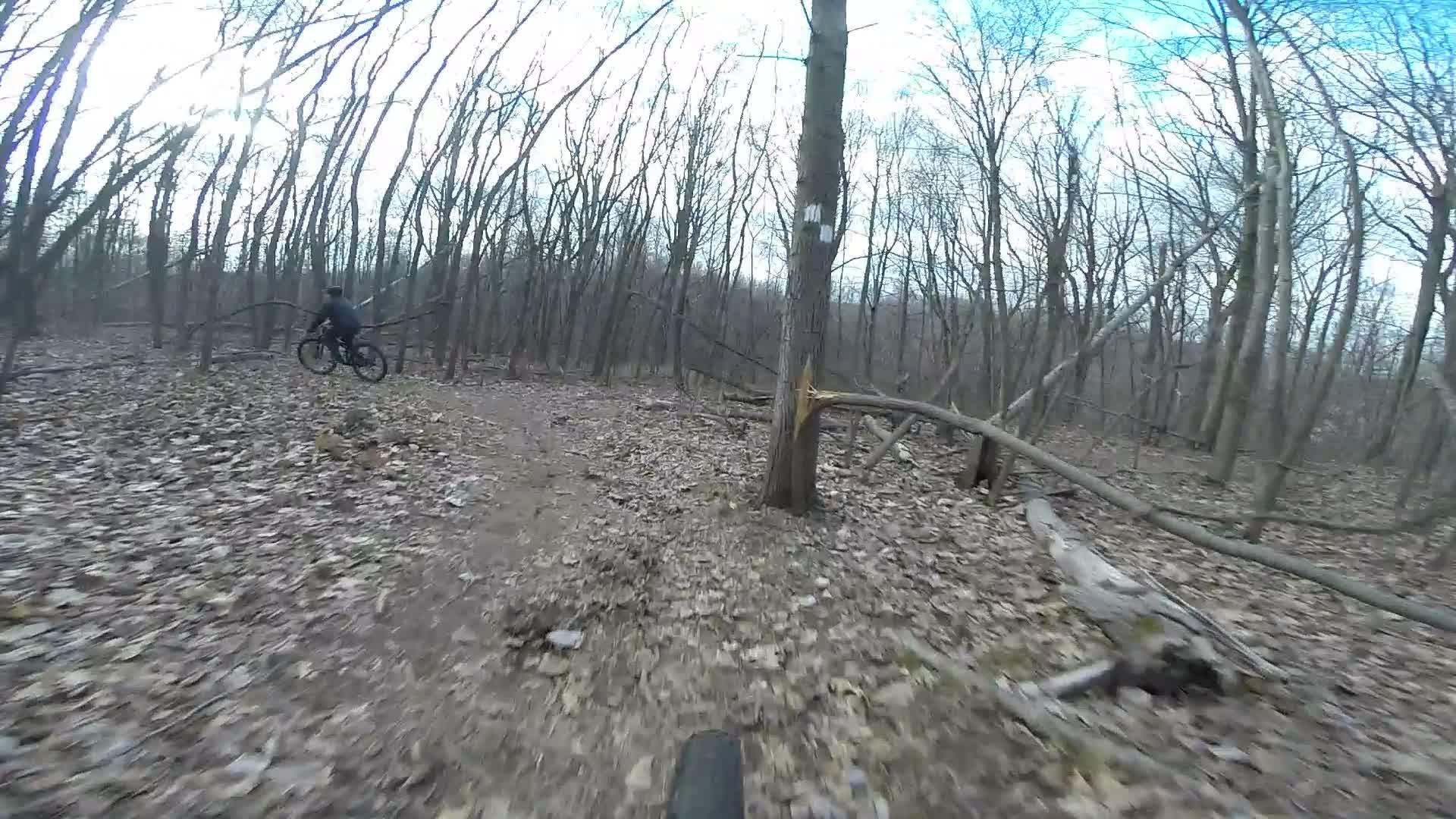 A view of a mountain biker riding on a dirt trail through a leaf-covered forest in early spring. Bare trees with blue sky and wispy clouds in the background. Some fallen branches are visible along the path. Richmond Avenue and Forest Hill road mountain bike trail.