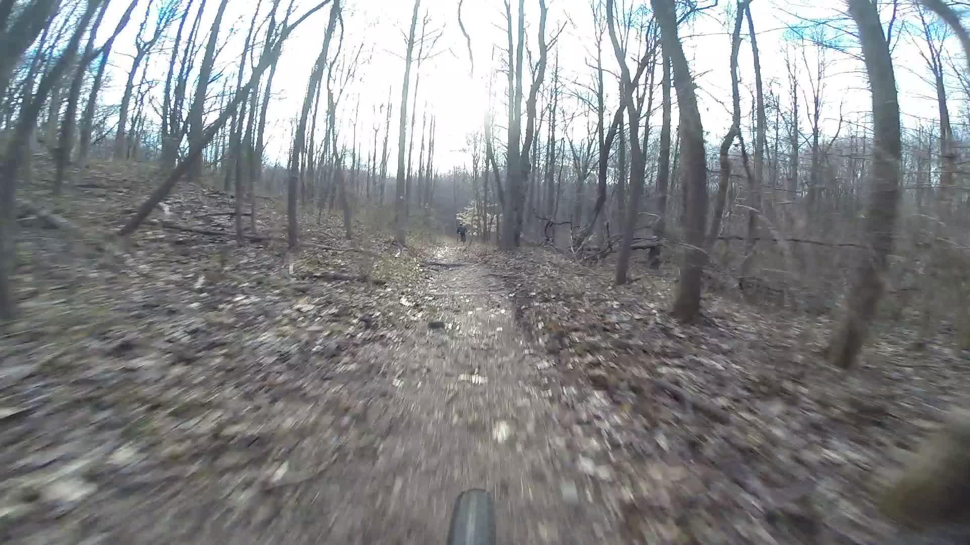 A blurred view of a dirt biking trail winding through a forest with leafless trees, capturing the feeling of speed and adventure. The ground is covered in leaves, and a cyclist can be seen in the distance, riding along the path. The scene is set in a cool, overcast environment, suggesting an early spring or late autumn day. Richmond Avenue and Forest Hill road mountain bike trail.
