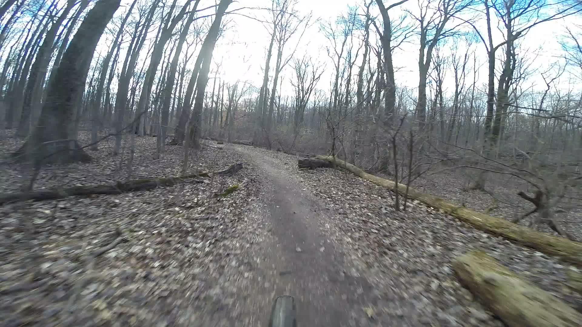 A dirt trail winding through a forest with bare trees in early spring. Fallen logs and scattered leaves line the path, and sunlight filters through the branches, creating a serene outdoor atmosphere. Richmond Avenue and Forest Hill road mountain bike trail.