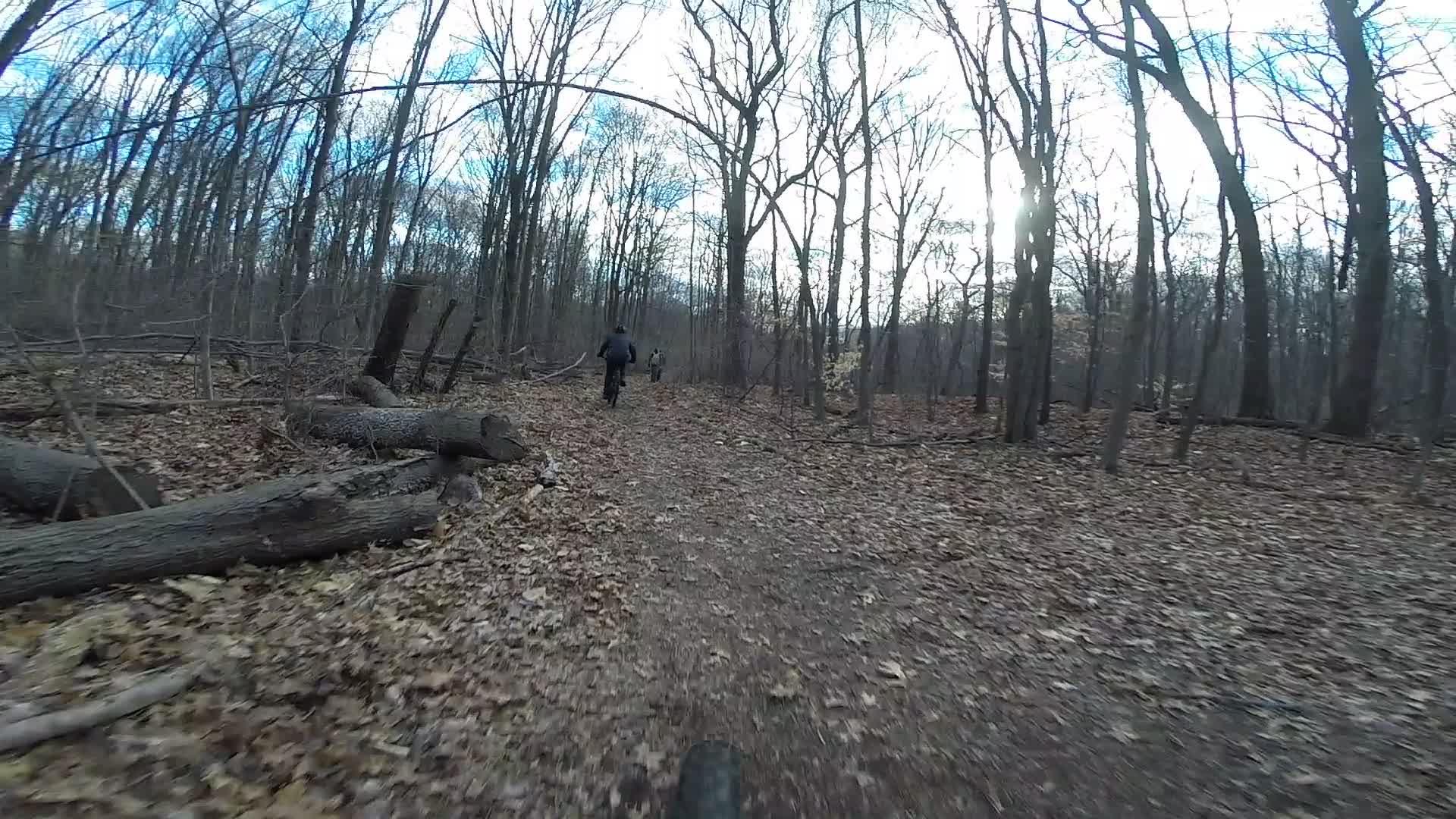 A dirt trail surrounded by bare trees and fallen leaves, with two people riding bikes along the path. The scene is set in a wooded area on a cloudy day, with patches of blue sky visible. Richmond Avenue and Forest Hill road mountain bike trail.