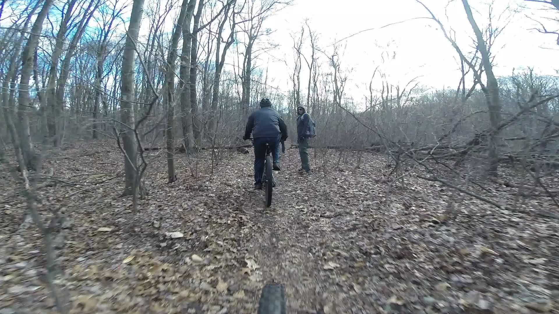 Two mountain bikers navigate a forested trail covered with fallen leaves, with trees in the background. One rider is in the foreground, while another person stands off the trail, looking back. The scene captures the essence of outdoor adventure in a wooded area. Richmond Avenue and Forest Hill road mountain bike trail.