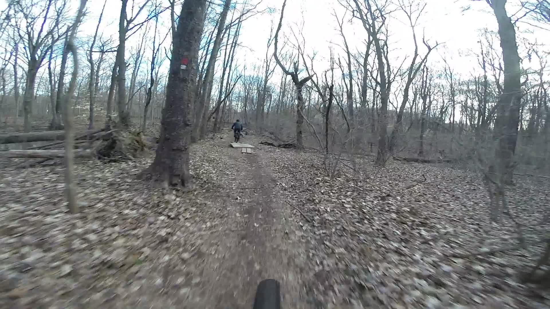 A mountain biker navigating a dirt trail through a wooded area in early spring, with bare trees and scattered leaves on the ground. Richmond Avenue and Forest Hill road mountain bike trail.