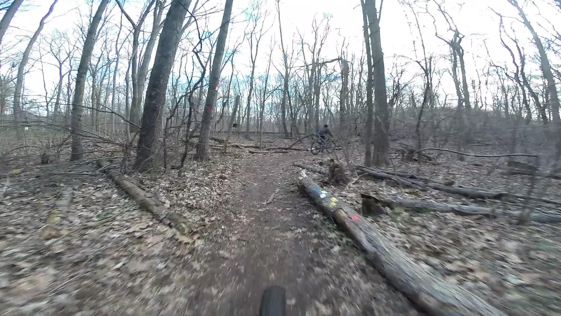 A blurred view of a dirt mountain biking trail winding through a wooded area, with bare trees and fallen logs scattered along the path. The ground is covered in brown leaves, and there are signs of tire tracks in the dirt. In the background, a cyclist is navigating the trail. Richmond Avenue and Forest Hill road mountain bike trail.