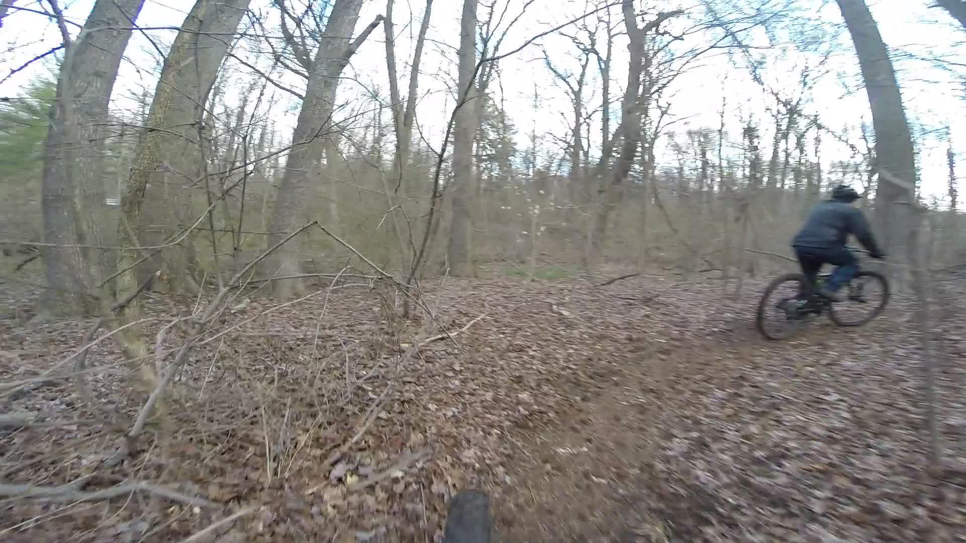 A mountain biker navigating through a wooded trail covered with leaves and surrounded by bare trees. Richmond Avenue and Forest Hill road mountain bike trail.