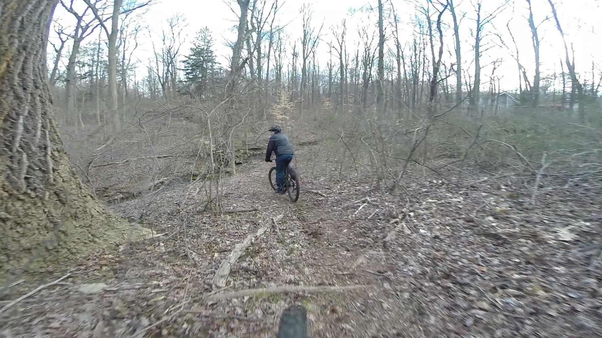 A mountain biker navigating a winding dirt trail surrounded by bare trees and underbrush, with fallen leaves scattered on the ground, depicting an adventurous outdoor scene. Richmond Avenue and Forest Hill road mountain bike trail.