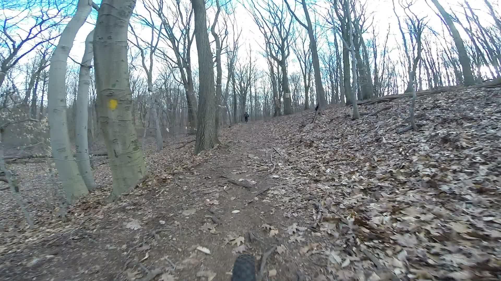 A narrow dirt trail winds through a wooded area, with bare trees lining the path and fallen leaves covering the ground. In the distance, a person is seen riding a bike up the incline of the trail, under a cloudy sky. Richmond Avenue and Forest Hill road mountain bike trail.
