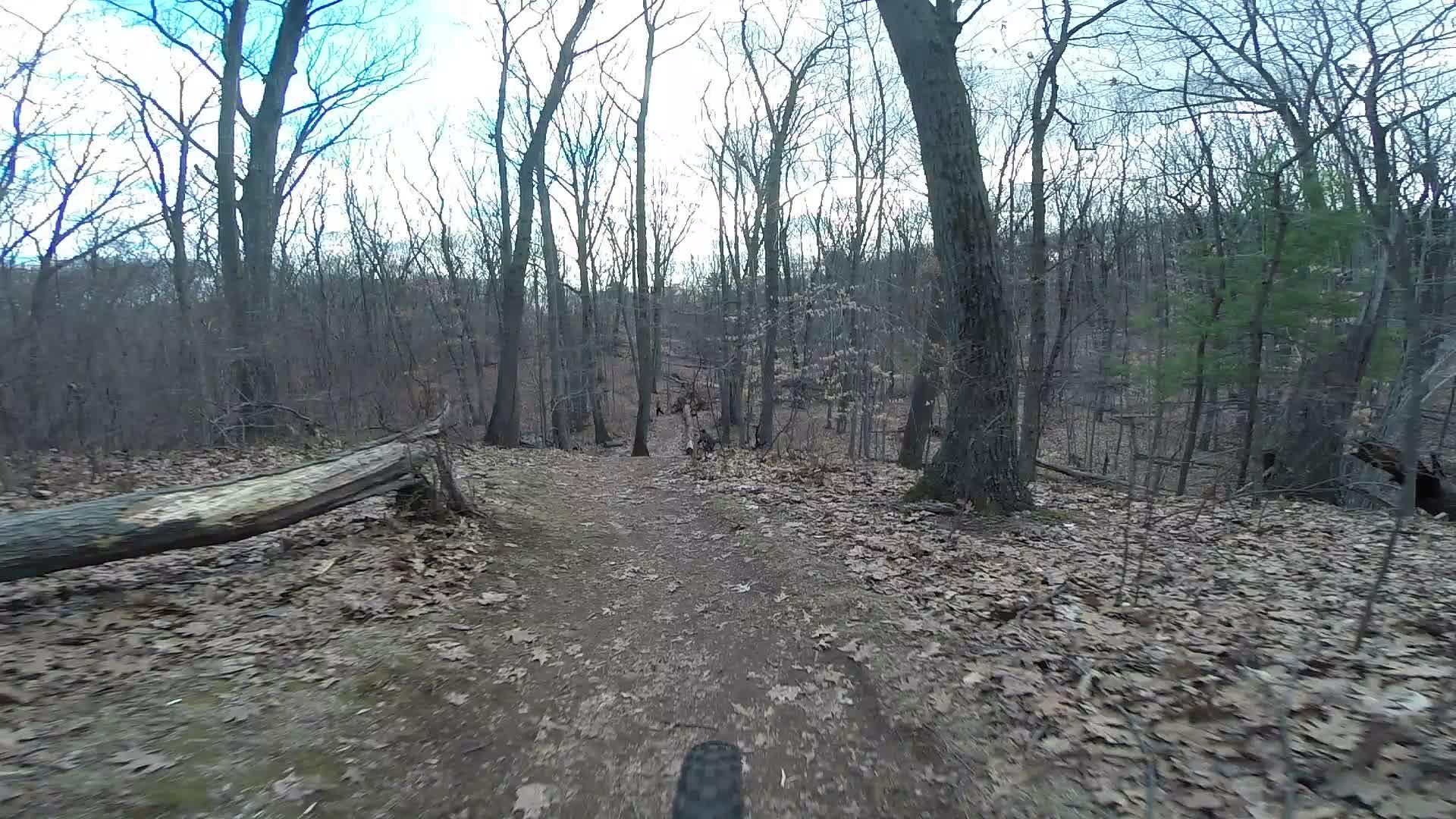 A dirt trail winding through a wooded area with bare trees and fallen leaves scattered on the ground. The sky is partly cloudy, and a few evergreen trees are visible in the background. The view is from a cyclist's perspective, showing a tire in the foreground. Richmond Avenue and Forest Hill road mountain bike trail.