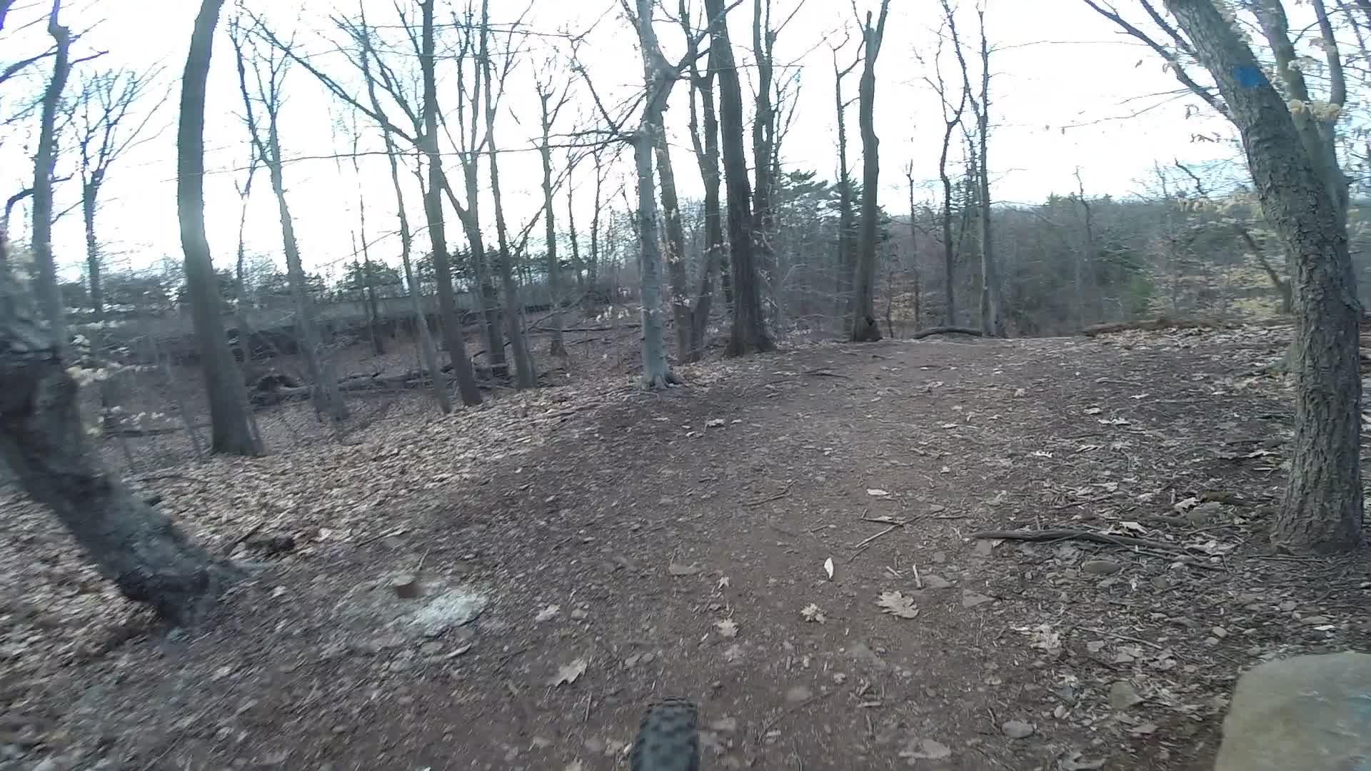 A view of a dirt trail winding through a wooded area during late fall or early winter, with bare trees and scattered leaves on the ground. The perspective is from a cyclist’s viewpoint, capturing the natural landscape and path ahead. Richmond Avenue and Forest Hill road mountain bike trail.