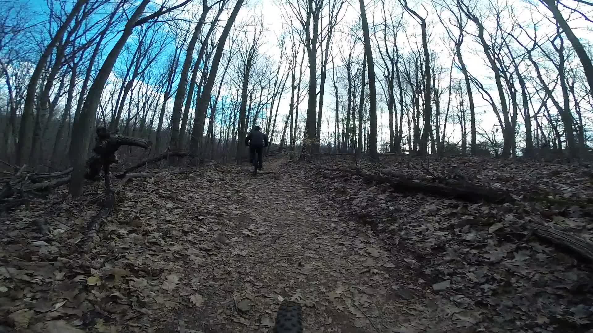 A person walking along a dirt trail in a forest, surrounded by bare trees and a carpet of fallen leaves. The sky is partly cloudy with patches of blue visible. The image captures a peaceful and natural outdoor setting. Richmond Avenue and Forest Hill road mountain bike trail.