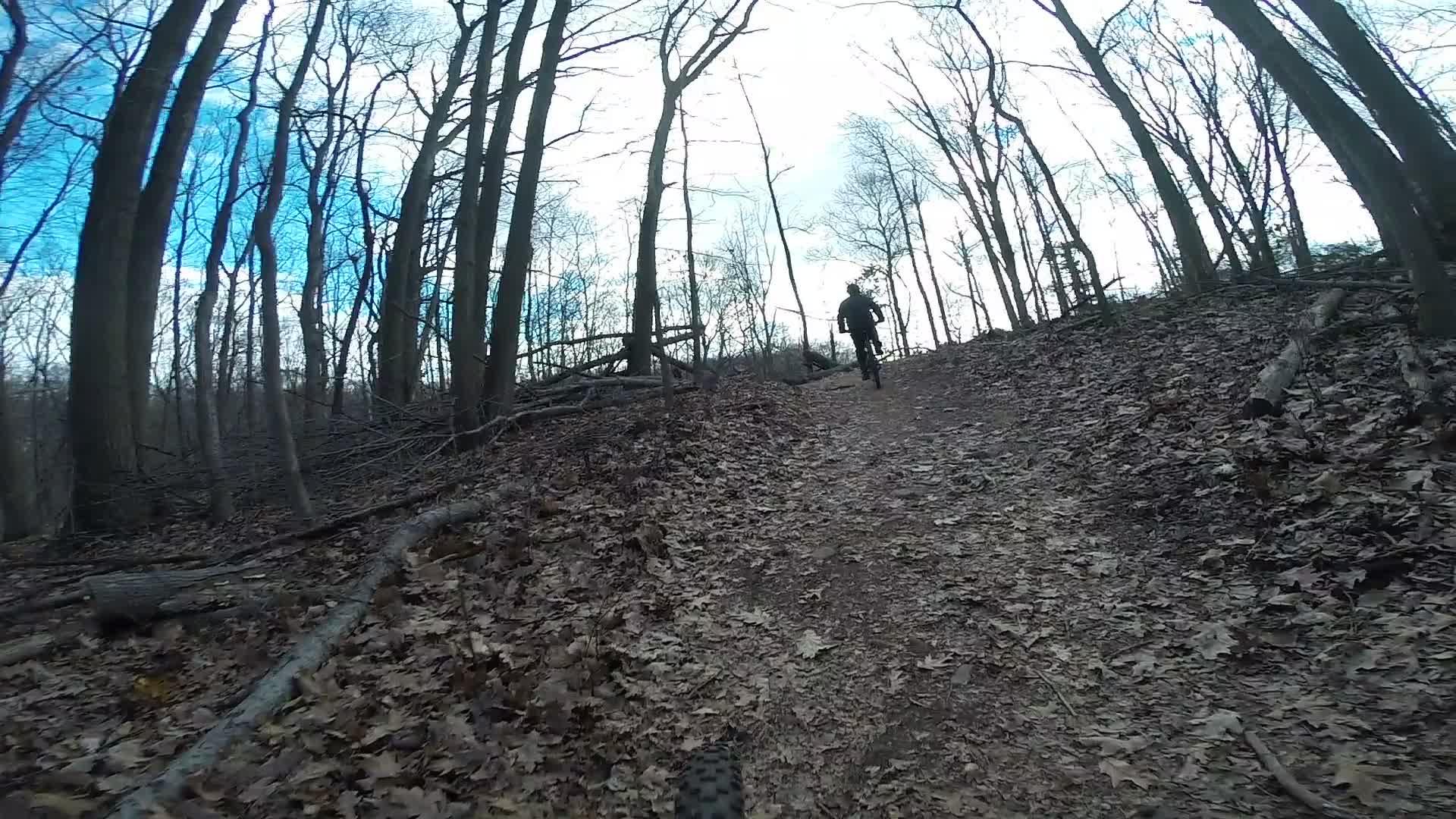 A cyclist riding uphill on a dirt trail surrounded by bare trees and fallen leaves in a wooded area under a cloudy sky. Richmond Avenue and Forest Hill road mountain bike trail.