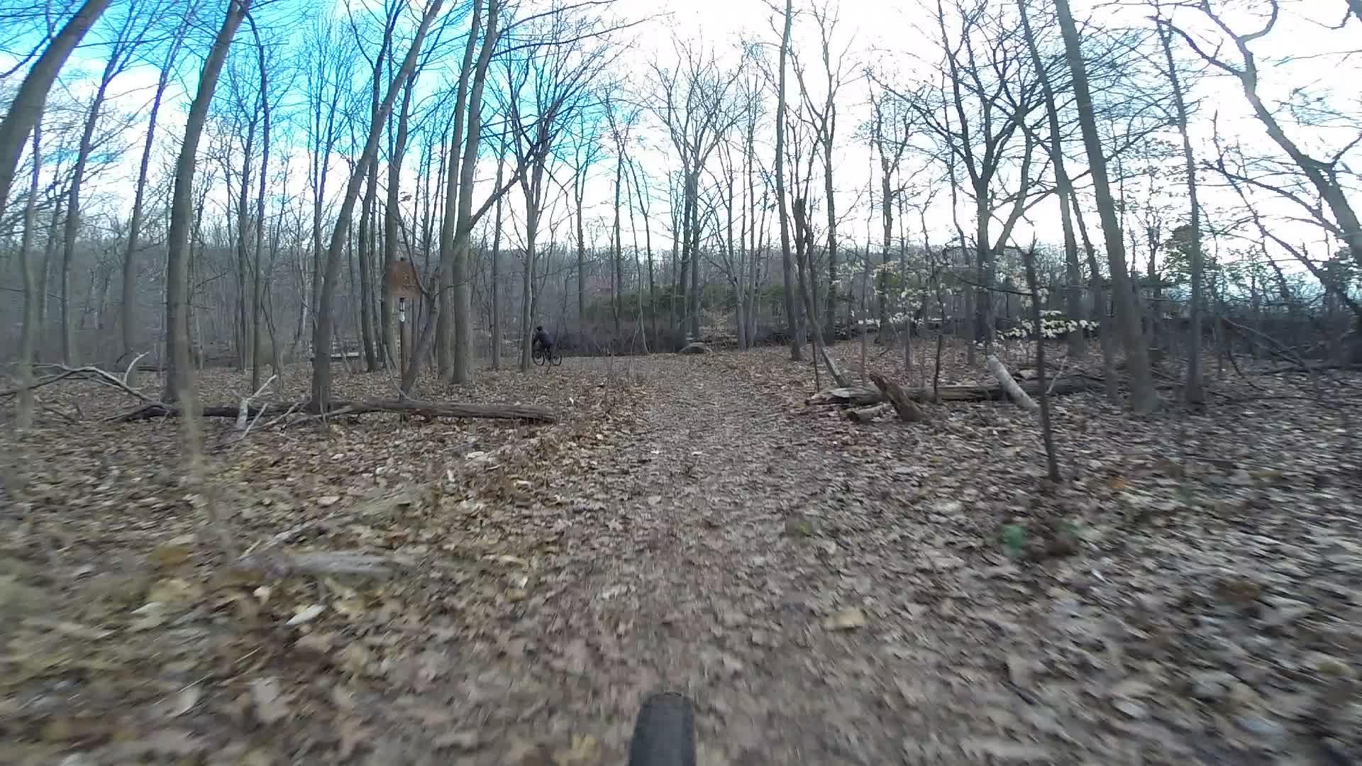 A view of a dirt bike trail in a wooded area during autumn. The ground is covered in fallen leaves, with tree branches scattered along the path. In the distance, a person on a bicycle can be seen riding along the trail, with bare trees and a cloudy sky in the background. Richmond Avenue and Forest Hill road mountain bike trail.