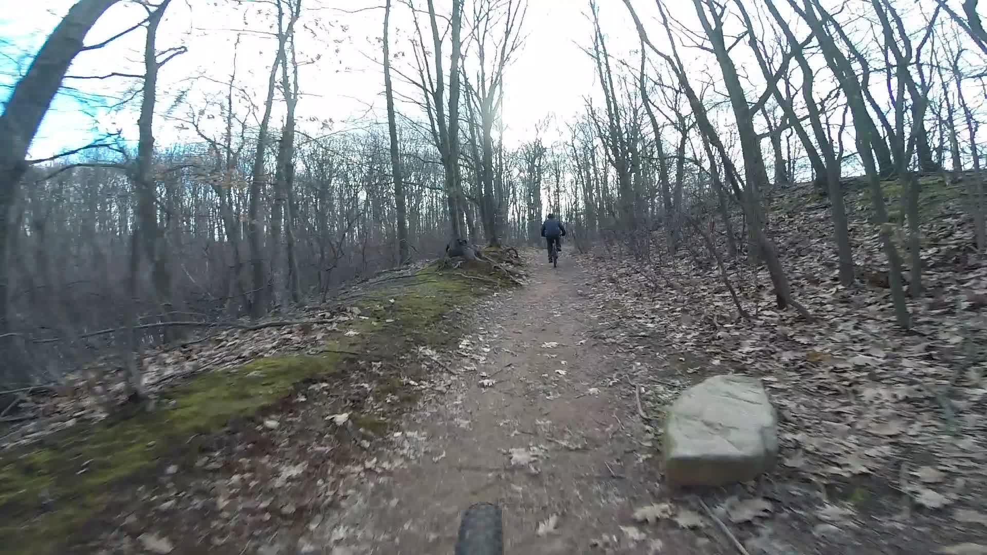 A person biking along a narrow dirt trail in a wooded area during early spring. The ground is covered with fallen leaves, and trees with bare branches surround the path. A large rock is visible on the right side of the trail. Richmond Avenue and Forest Hill road mountain bike trail.