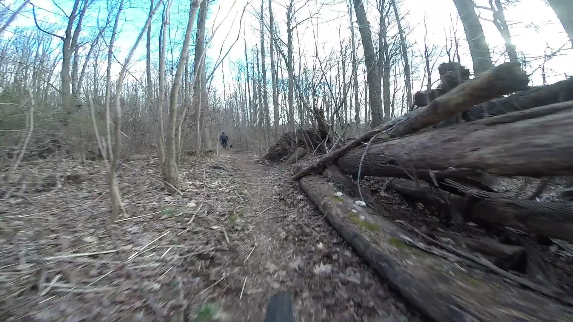 A narrow dirt trail winding through a forest, surrounded by tall trees and fallen logs. In the background, a person is walking along the path. The ground is covered with dried leaves and twigs, and the sky is partly cloudy. Richmond Avenue and Forest Hill road mountain bike trail.