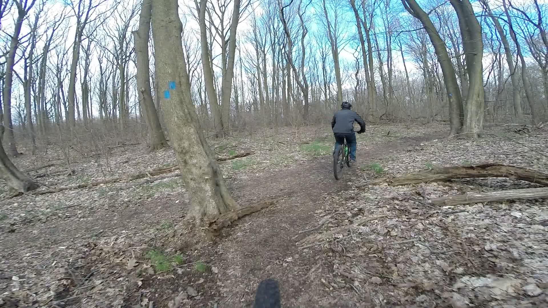 A mountain biker riding on a narrow dirt path through a sparse, leaf-covered forest with bare trees and patches of grass. Blue trail markers can be seen on the trees, and the sky is partly cloudy. Trails seperated by streets mountain bike trail.