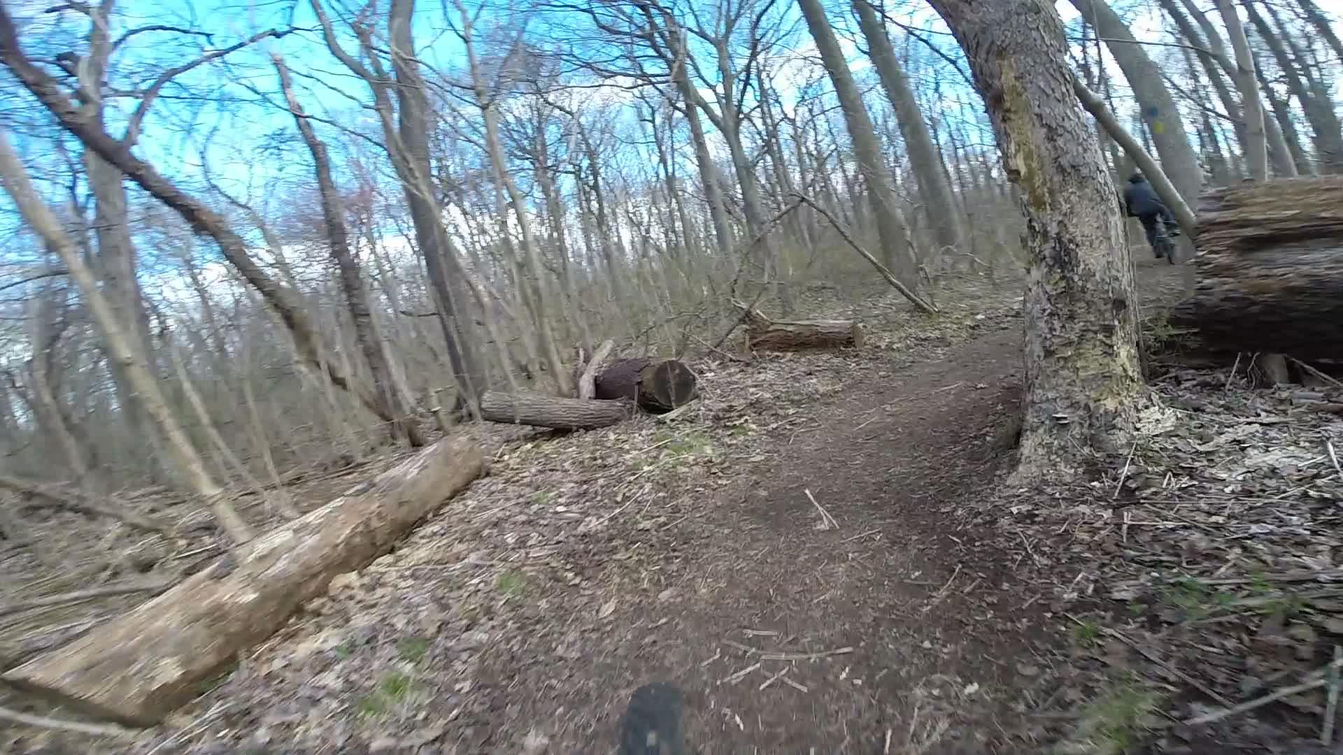 A narrow dirt trail winding through a wooded area, with bare trees and fallen logs scattered along the ground. The sky is partly cloudy, creating a peaceful outdoor atmosphere suitable for hiking or biking. Trails seperated by streets mountain bike trail.