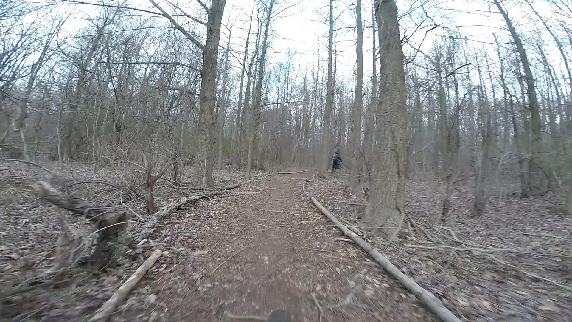A winding dirt path through a sparse deciduous forest, with bare trees and scattered leaves on the ground. In the background, a figure is partially visible, walking along the trail amidst the natural surroundings. The scene conveys a peaceful, outdoorsy atmosphere. Trails seperated by streets mountain bike trail.