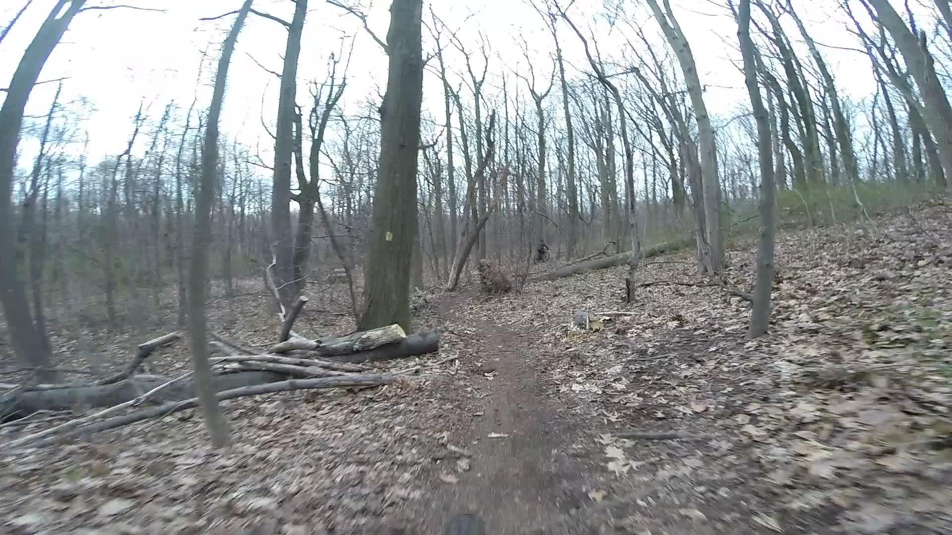 A winding dirt trail through a deciduous forest, surrounded by bare trees and scattered fallen branches. The ground is covered with dried leaves, indicating early spring or late fall, and the atmosphere is overcast. A faint figure can be seen in the background, suggesting activity in the natural setting. Trails seperated by streets mountain bike trail.