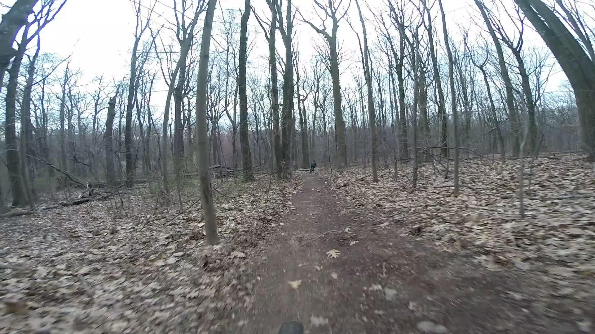 Image of a forest trail surrounded by bare trees, with a path covered in fallen leaves leading into the woods. A person can be seen biking along the trail in the distance. The scene is in a muted, grayish light typical of early spring or late fall. Trails seperated by streets mountain bike trail.