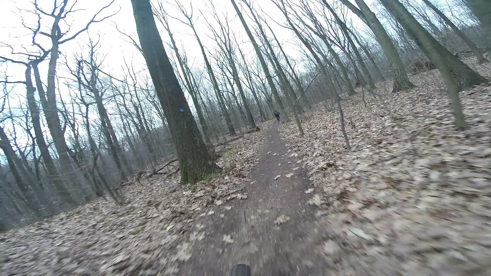 A view of a wooded trail with bare trees and fallen leaves, capturing a cyclist in the distance riding along the narrow path. The scene is set on a cloudy day, contributing to a serene, nature-filled atmosphere. Trails seperated by streets mountain bike trail.