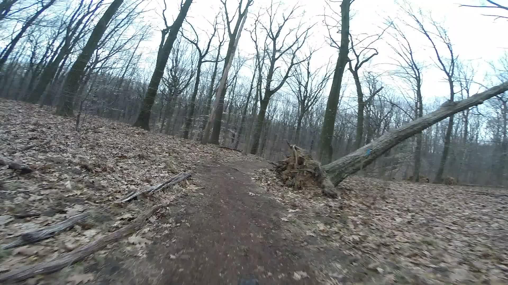 A dirt path winding through a forest, bordered by leaf-covered ground and tall, bare trees, with a fallen tree partially obstructing the trail. The scene captures a tranquil yet rugged outdoor environment, suggesting the beauty of nature in a wooded area during the winter season. Trails seperated by streets mountain bike trail.