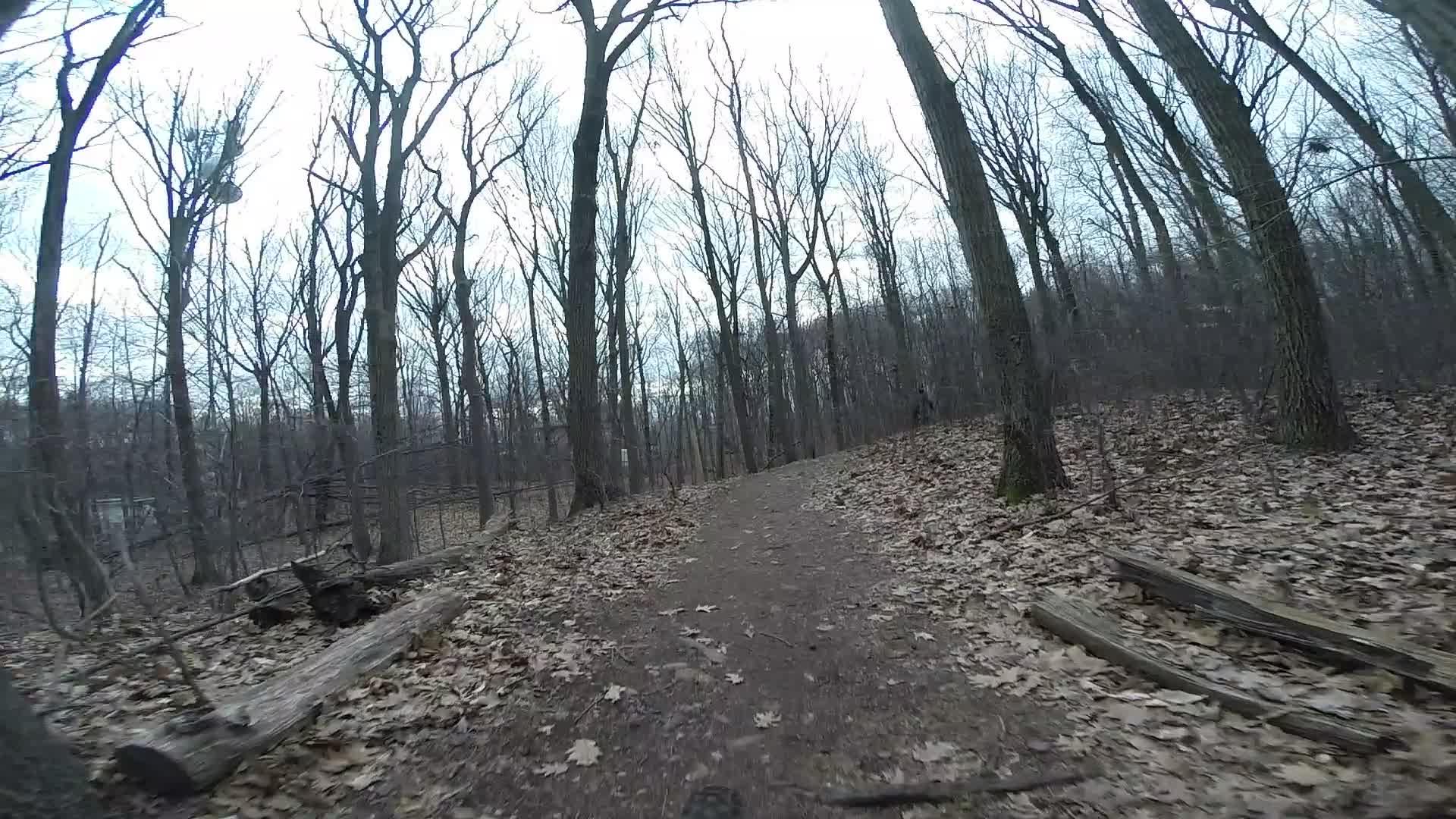 A dirt path winding through a leaf-strewn forest with bare trees, set against a cloudy sky. Trails seperated by streets mountain bike trail.