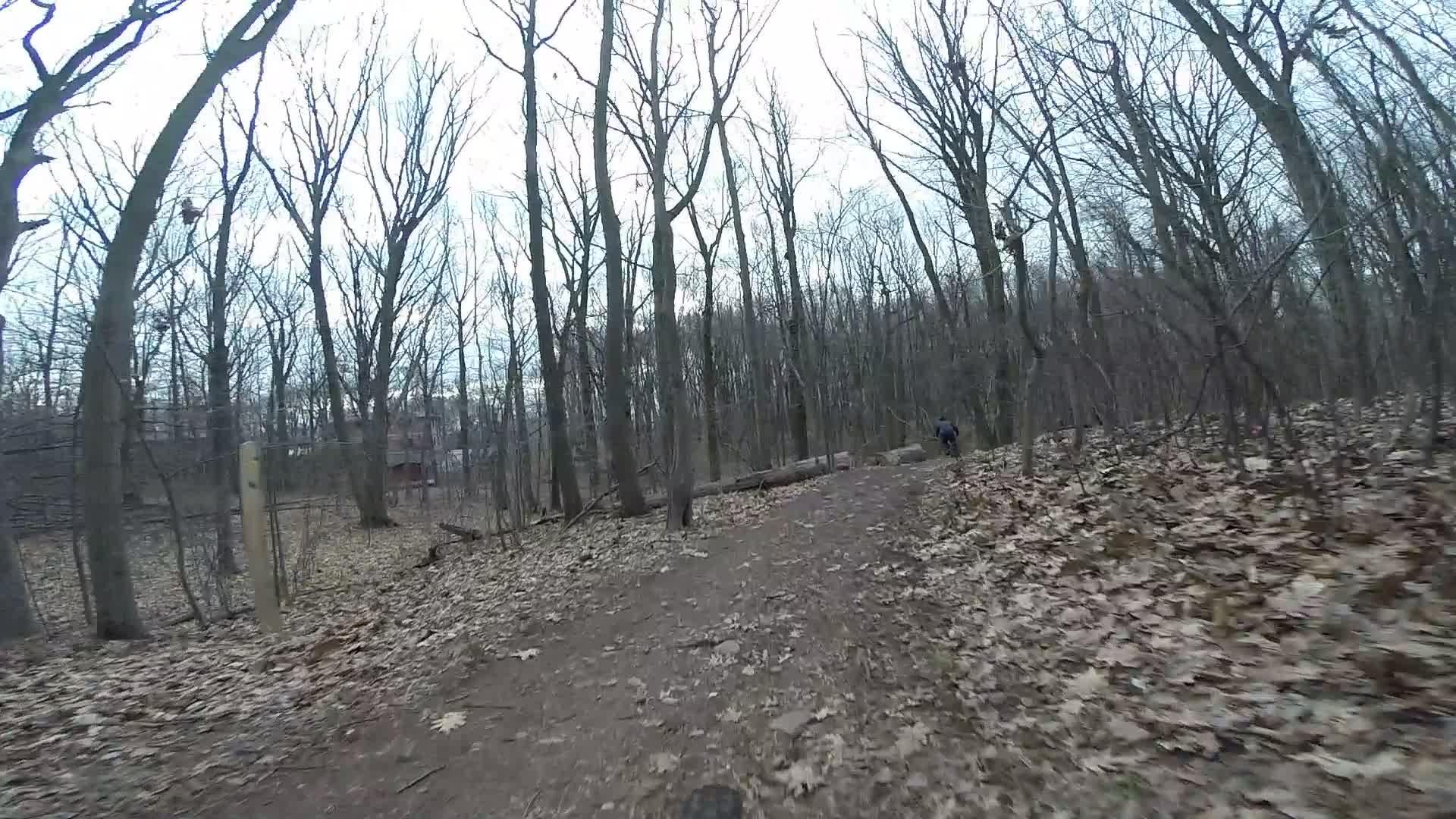 A dirt trail winding through a forest of bare trees, with fallen leaves scattered along the path. In the distance, a person can be seen walking along the trail. The atmosphere is quiet and serene, typical of a late autumn day. Trails seperated by streets mountain bike trail.