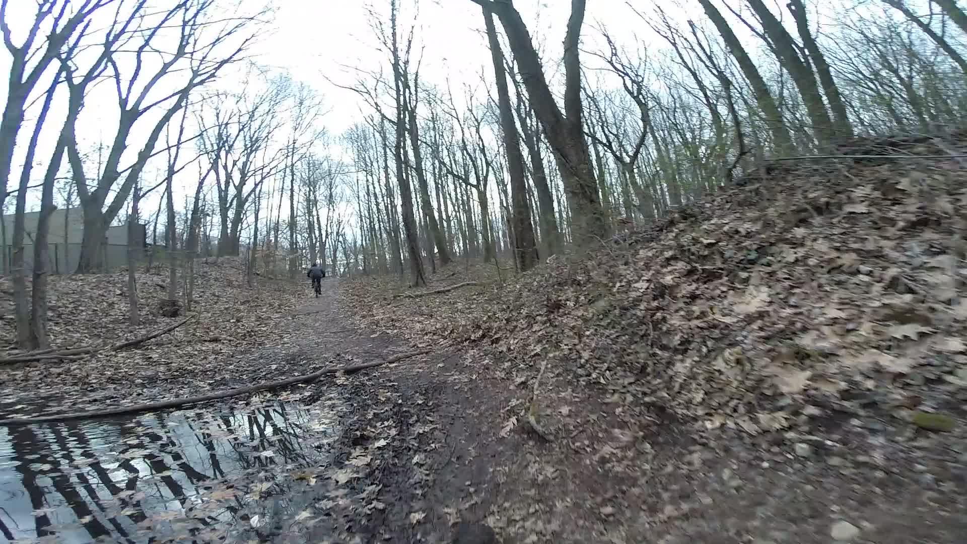 A winding forest trail covered with fallen leaves, with a small body of water reflecting the trees. A person walks along the path, surrounded by bare branches and a cloudy sky above. Trails seperated by streets mountain bike trail.
