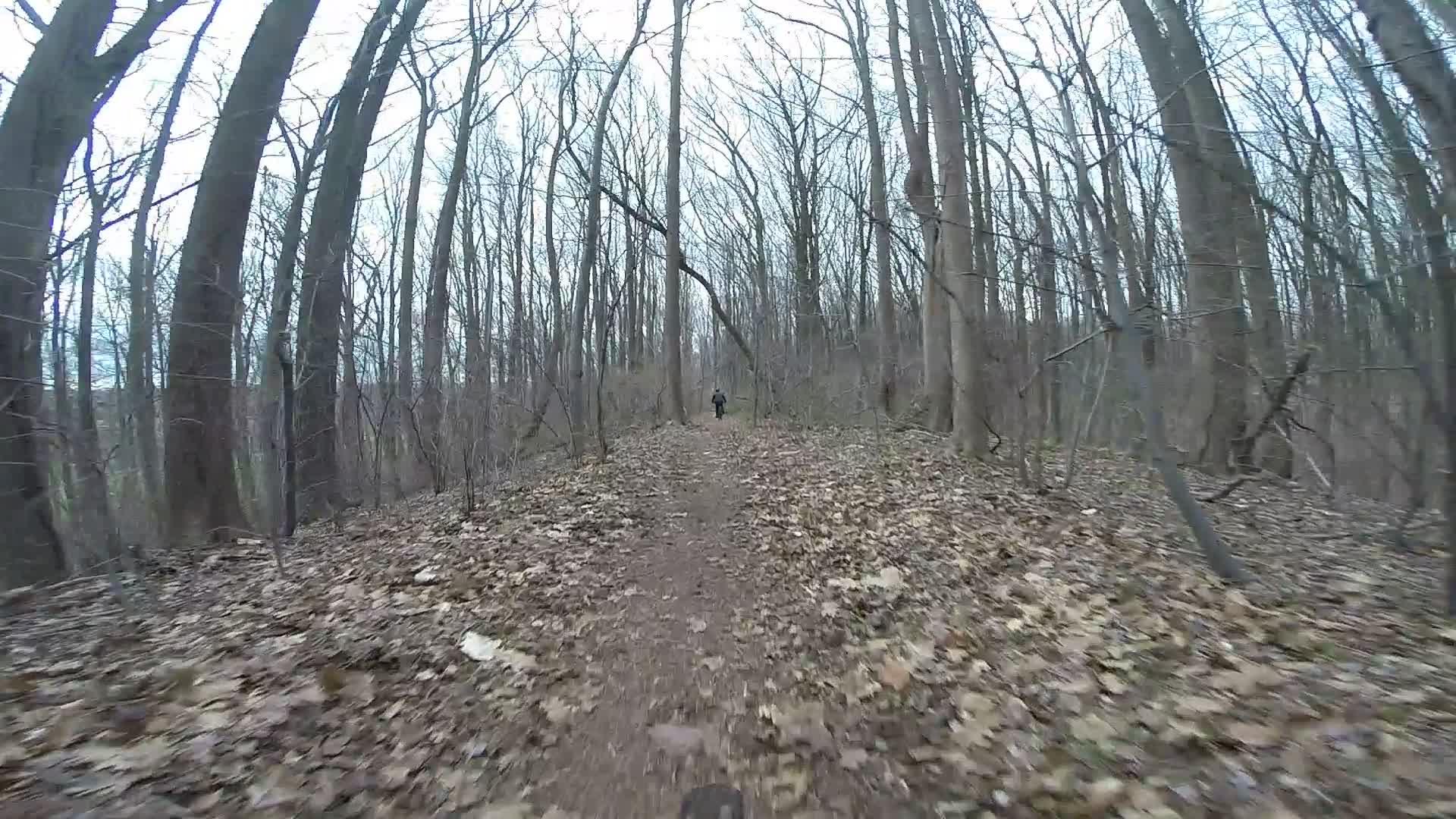 A winding dirt path through a dense, leaf-covered forest with bare trees lining the trail. In the distance, a lone hiker is seen walking along the path, surrounded by a serene, natural landscape on a cloudy day. Trails seperated by streets mountain bike trail.